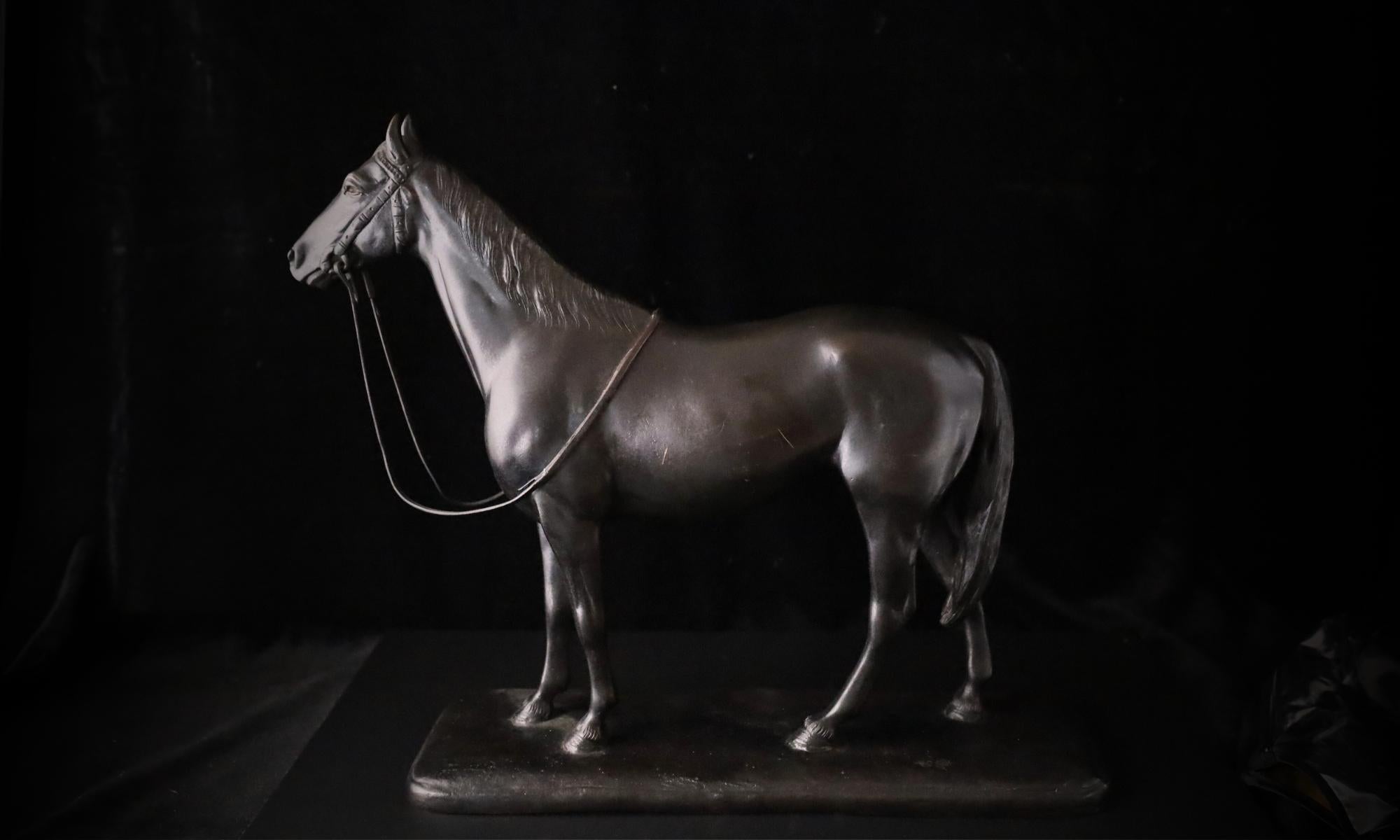 Rara scultura di cavallo giapponese in bronzo di Ishizaki Shūhō - Arte tradizionale in vendita 8