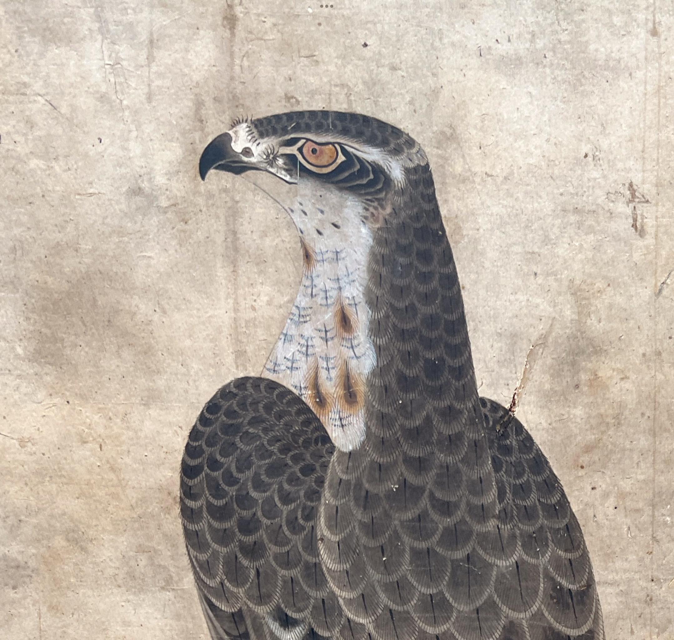 Raro biombo japonés, Kayo Zu, Halcones en una percha, Escuela Soga, Edo en venta 8