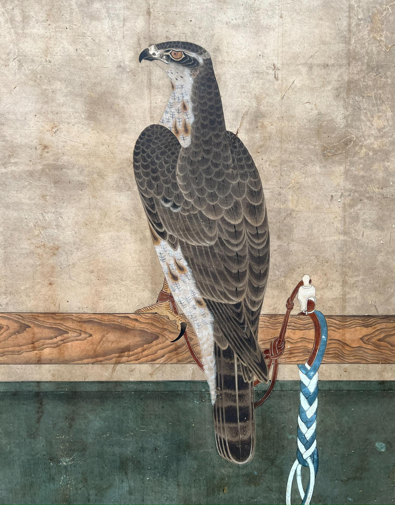 Biombo de seis paneles, Kayo Zu, Halcones en una percha, Escuela Soga, Periodo Edo, Siglo XVIII

Este biombo de seis paneles, del tipo oshi-e hari (pinturas montadas sobre biombos), está pintado con pigmentos sobre papel. Se monta con tiras de papel