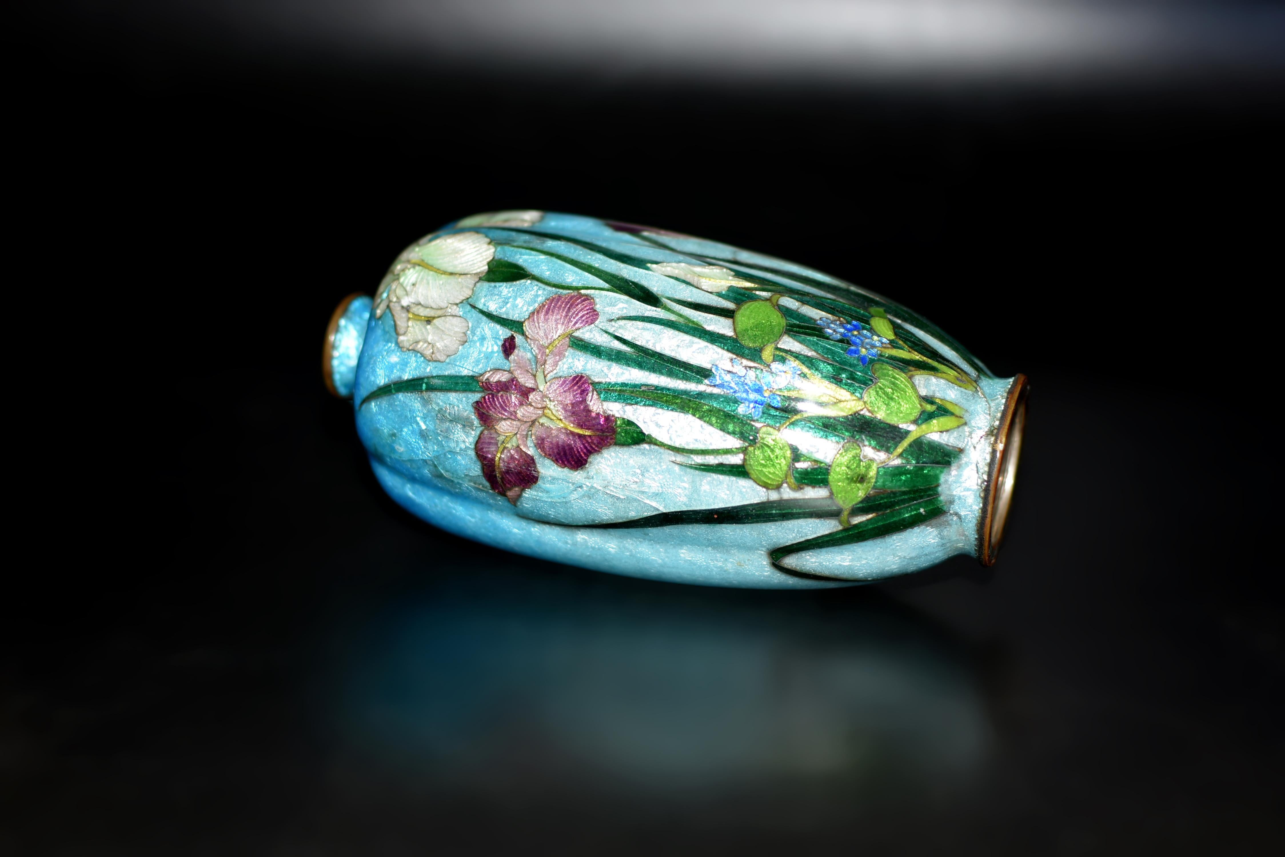 Rare Japanese Ginbari Cloisonne Vase Irises by Kumeno Teitaro 19th Century For Sale 4