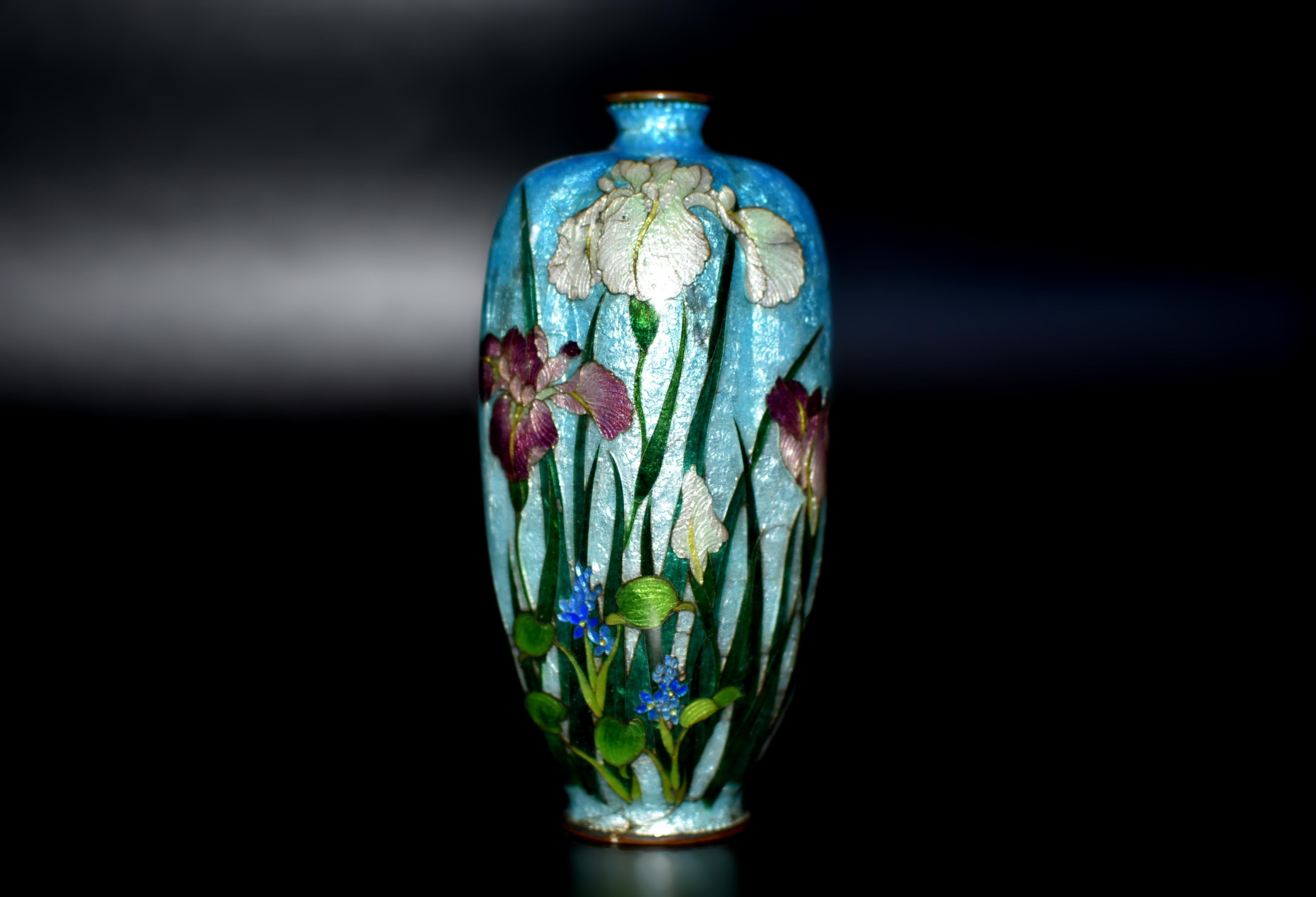 Rare Japanese Ginbari Cloisonne Vase Irises by Kumeno Teitaro 19th Century For Sale 7