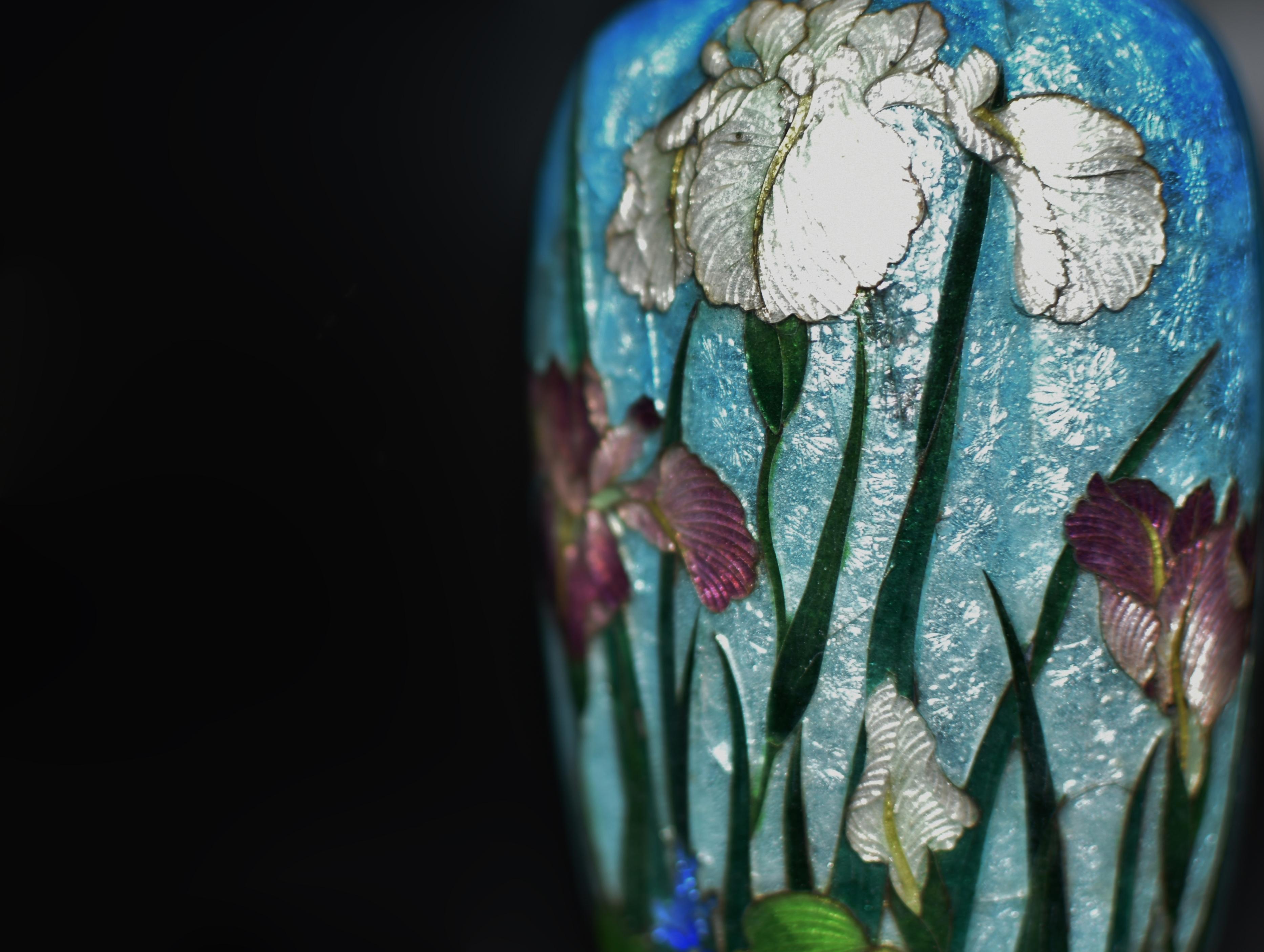 Rare Japanese Ginbari Cloisonne Vase Irises by Kumeno Teitaro 19th Century For Sale 9