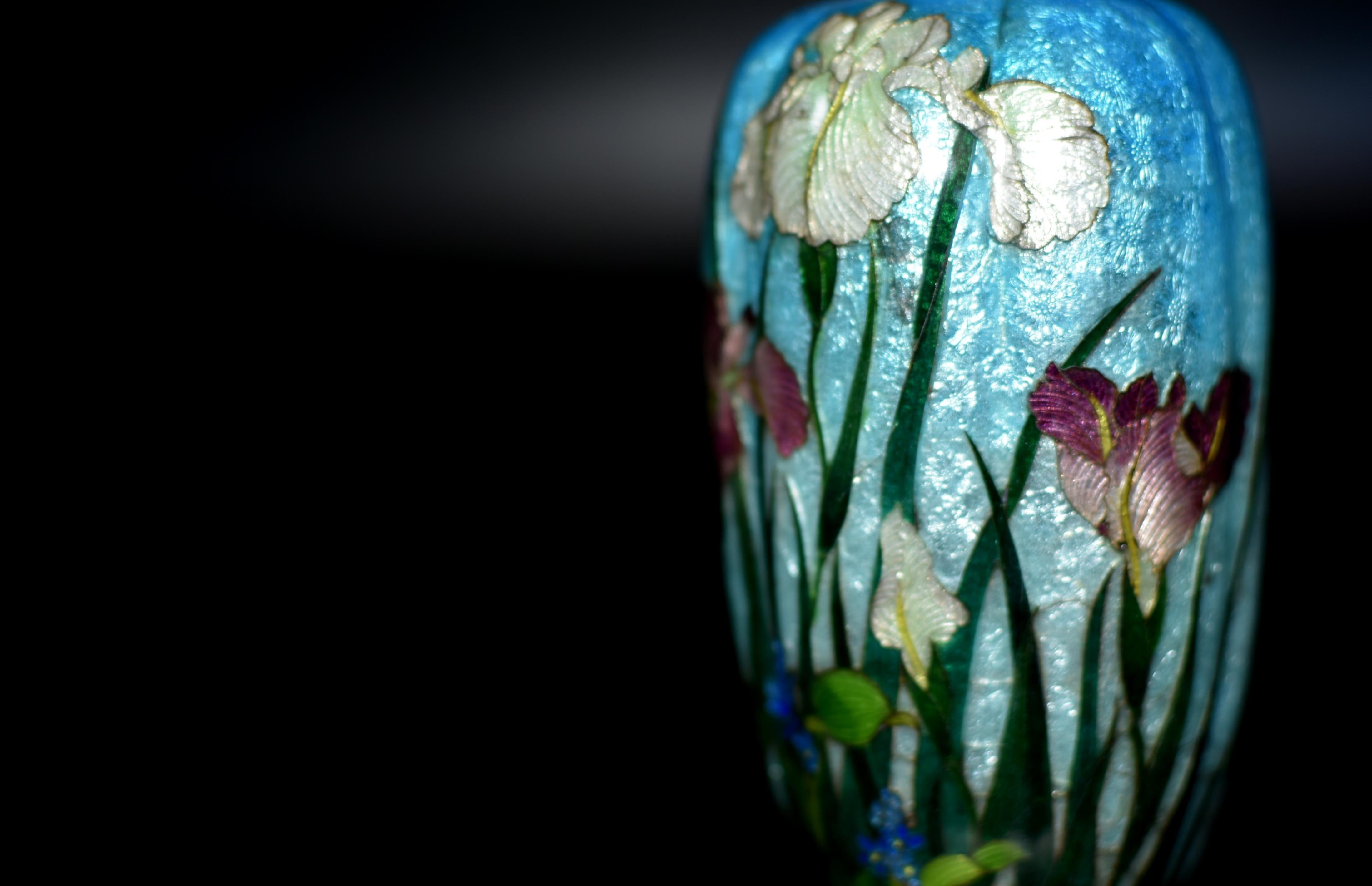 Rare Japanese Ginbari Cloisonne Vase Irises by Kumeno Teitaro 19th Century For Sale 12