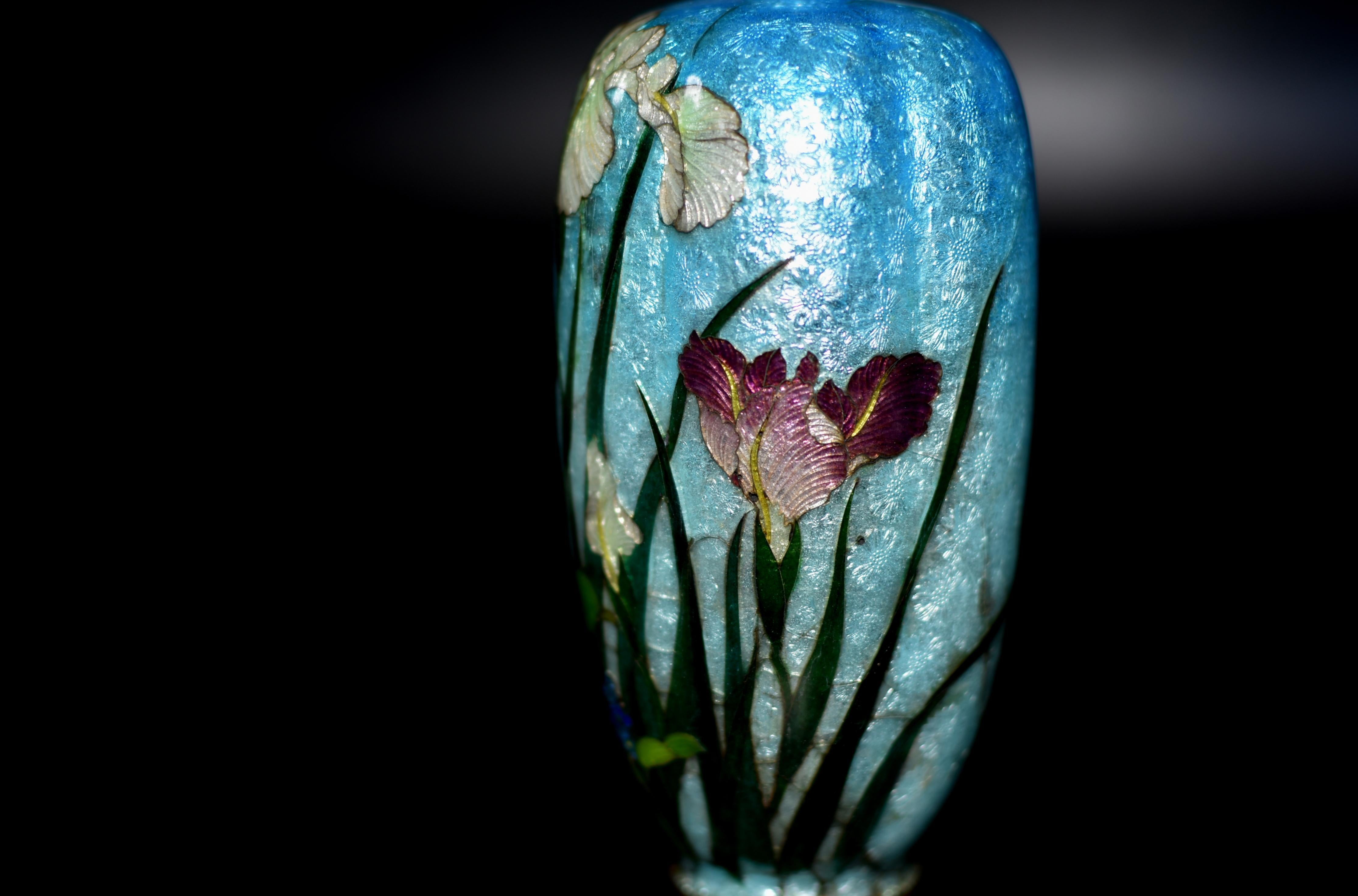 Rare Japanese Ginbari Cloisonne Vase Irises by Kumeno Teitaro 19th Century For Sale 13