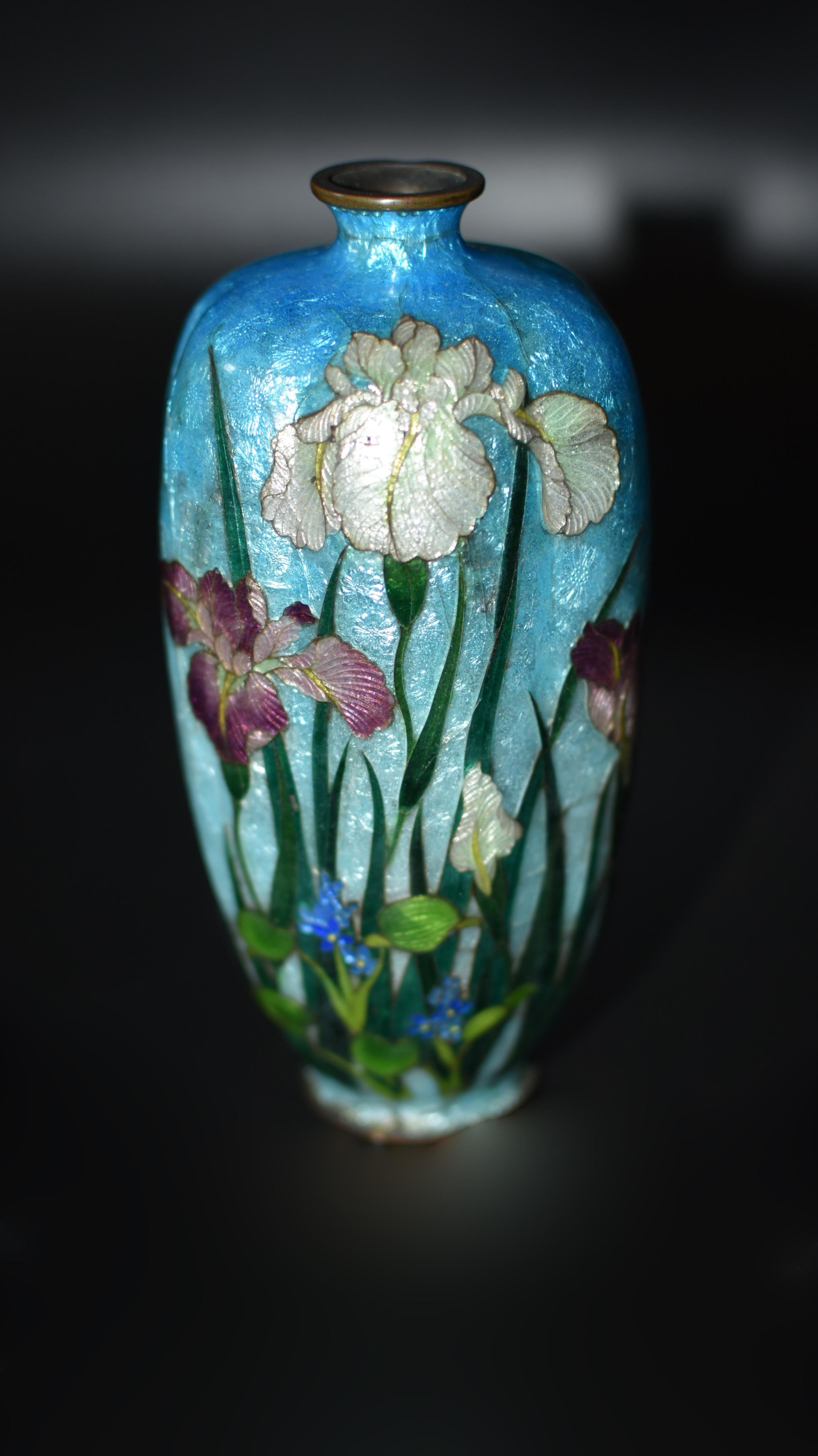 Enameled Rare Japanese Ginbari Cloisonne Vase Irises by Kumeno Teitaro 19th Century For Sale