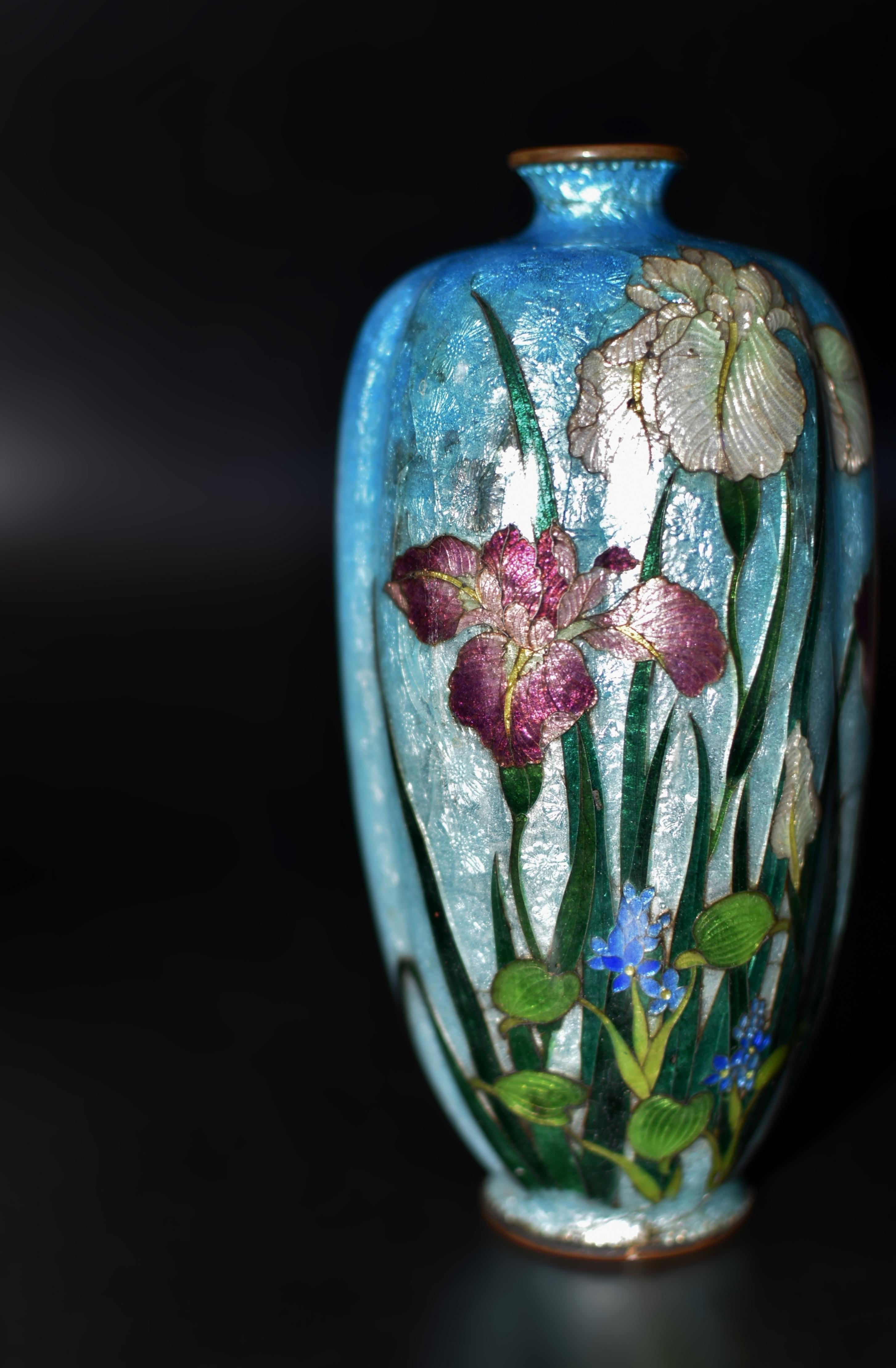 Rare Japanese Ginbari Cloisonne Vase Irises by Kumeno Teitaro 19th Century In Good Condition For Sale In Somis, CA