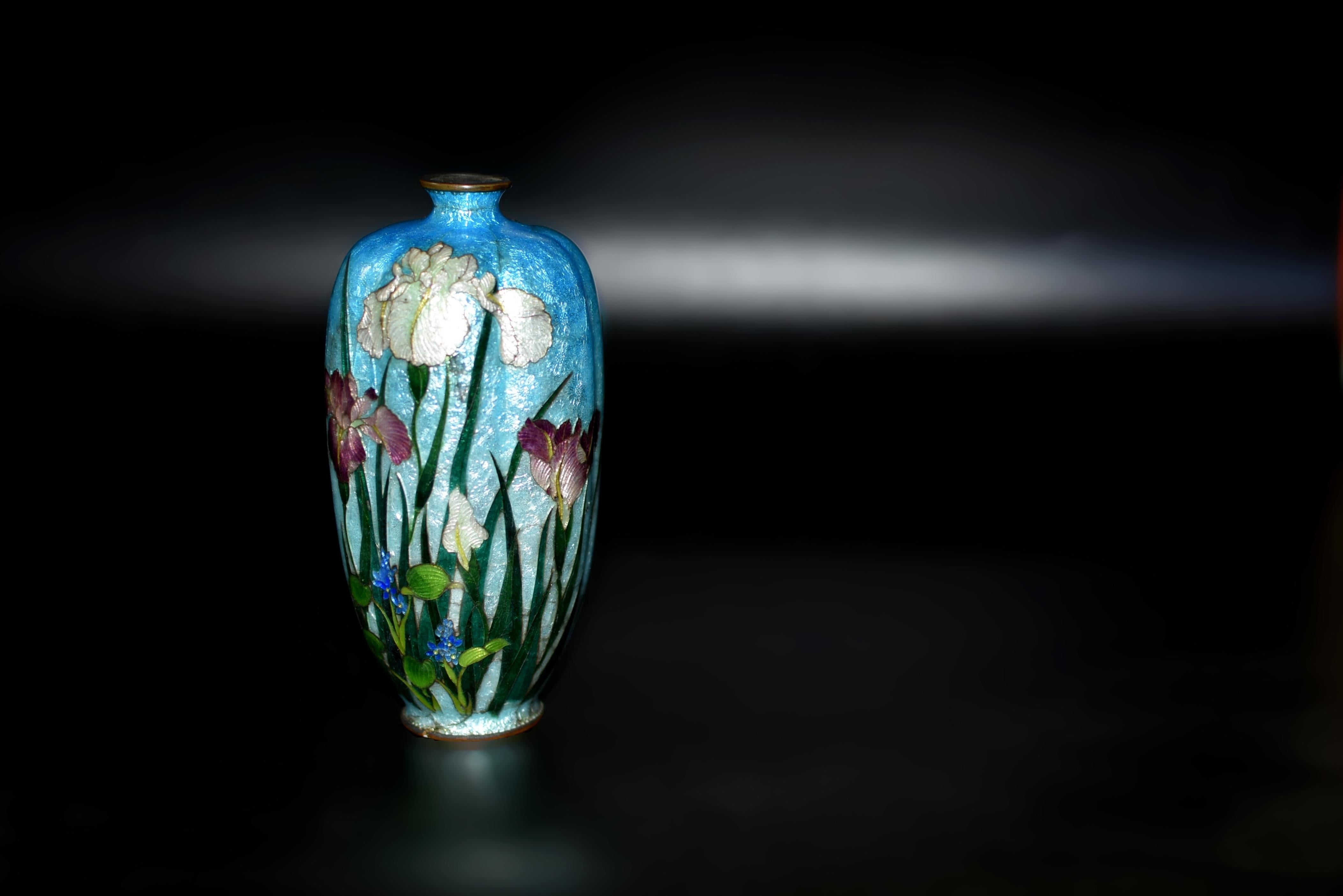 Brass Rare Japanese Ginbari Cloisonne Vase Irises by Kumeno Teitaro 19th Century For Sale