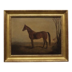 Rare "Knight of St. George" Equestrian Painting by Edward Troye