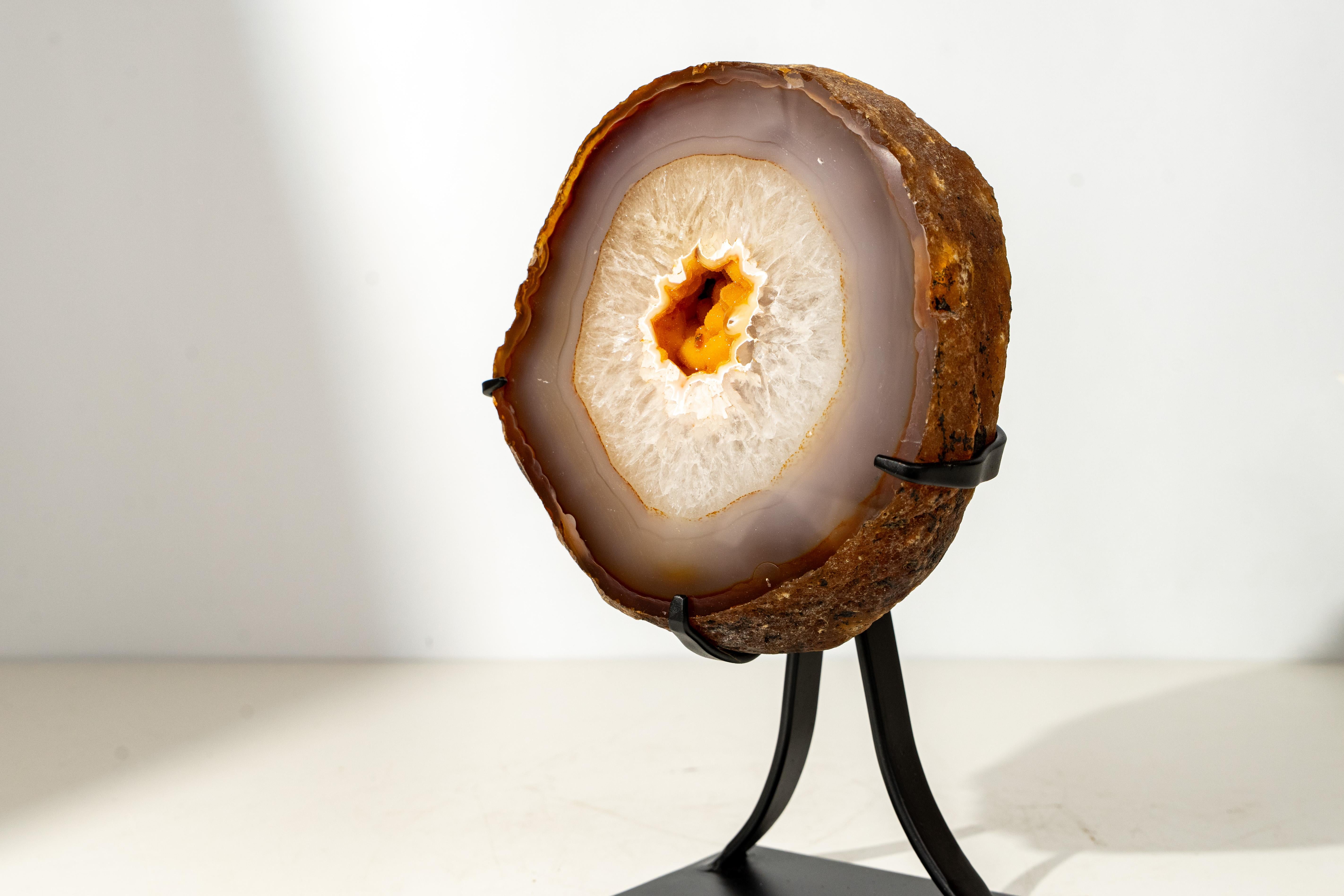 Rara fetta di geode di agata con druzy galattico giallo

▫️ Descrizione

Questo geode presenta uno dei colori più rari che si possano trovare in natura: il giallo vibrante. Una splendida combinazione di agata, quarzo e druzy dorato rende questo