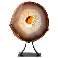 Rare Lace Agate Geode with Natural Yellow Galaxy Druzy