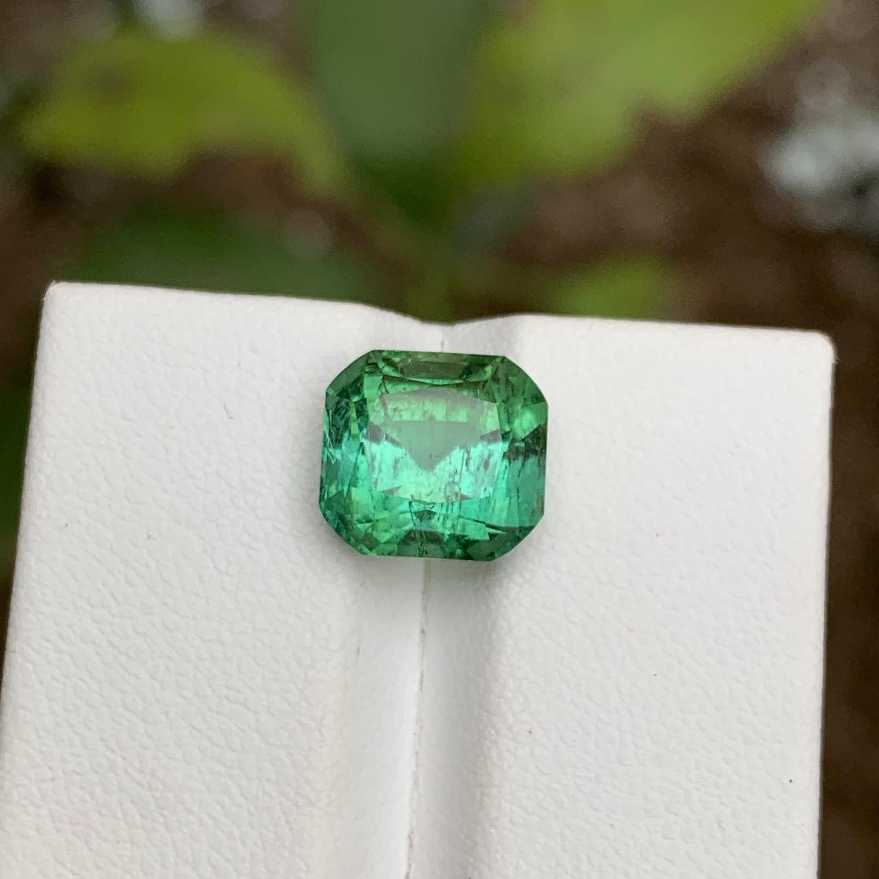 GEMSTONE TYPE: Tourmaline
PIECE(S): 1
WEIGHT: 5.05 Carats
SHAPE: Square Cushion 
SIZE (MM): 9.06 x 9.75 x 7.66
COLOR: Mint Green
CLARITY: Slightly Included II
TREATMENT: None
ORIGIN: Afghanistan
CERTIFICATE: On demand

Gorgeous 5.05 Carats Lagoon