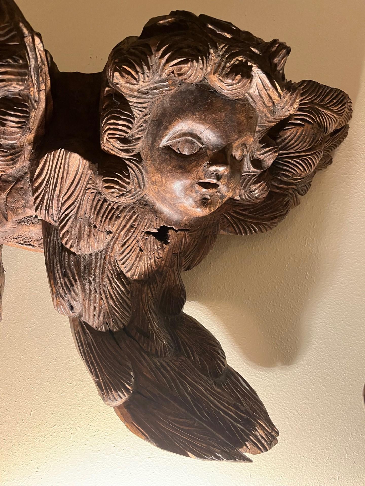 Rare Large 15th Century Renaissance English Oak Roof Angels Corbel.

Truly astonishing rare roof angels, circa 1450. The large Medieval carving features two angel heads with elaborate feathered wings. The details, applied by a master craftsman. show