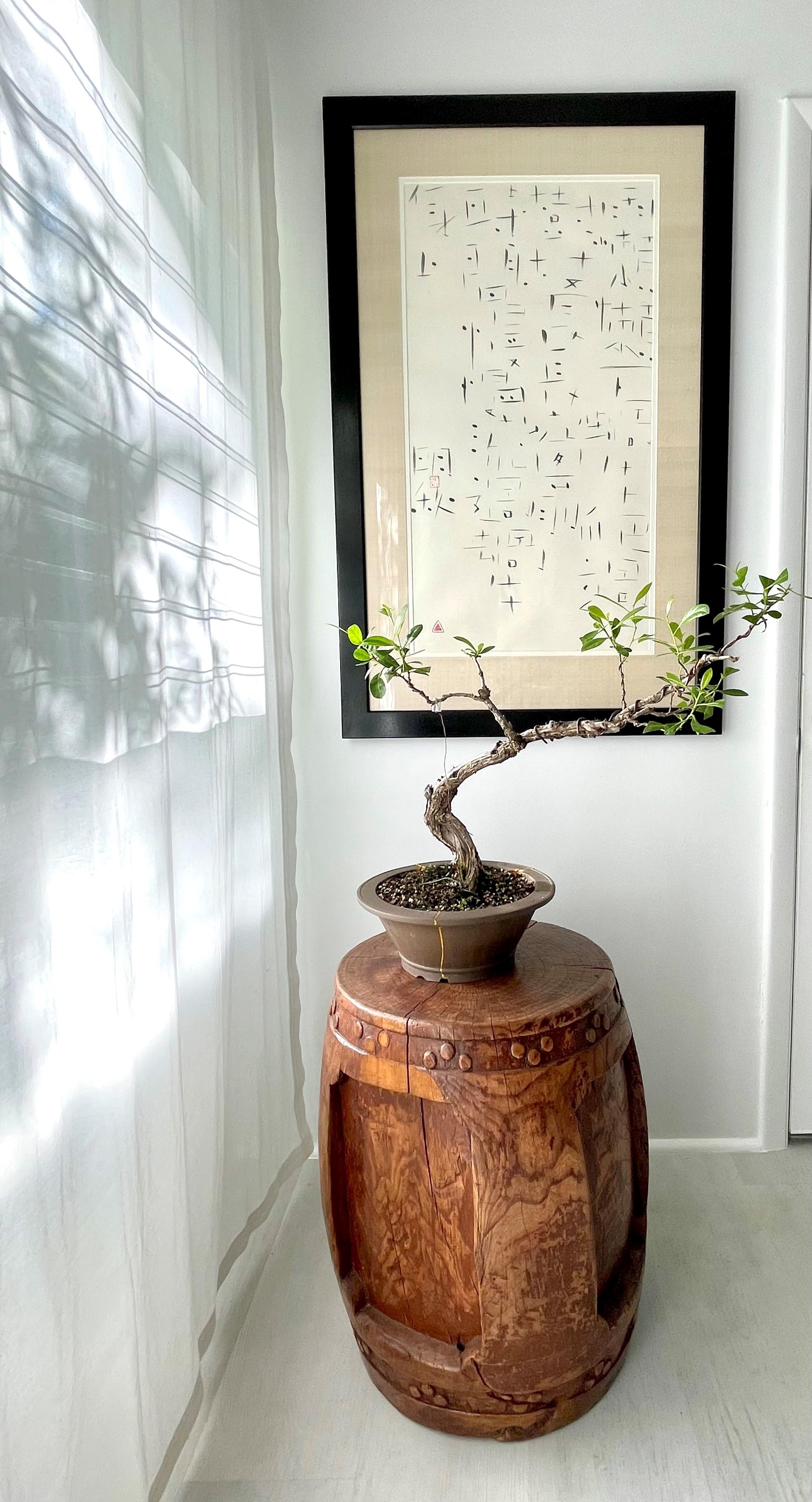 Rare Large 19th Century Carved Chinese Wooden Stool For Sale 17