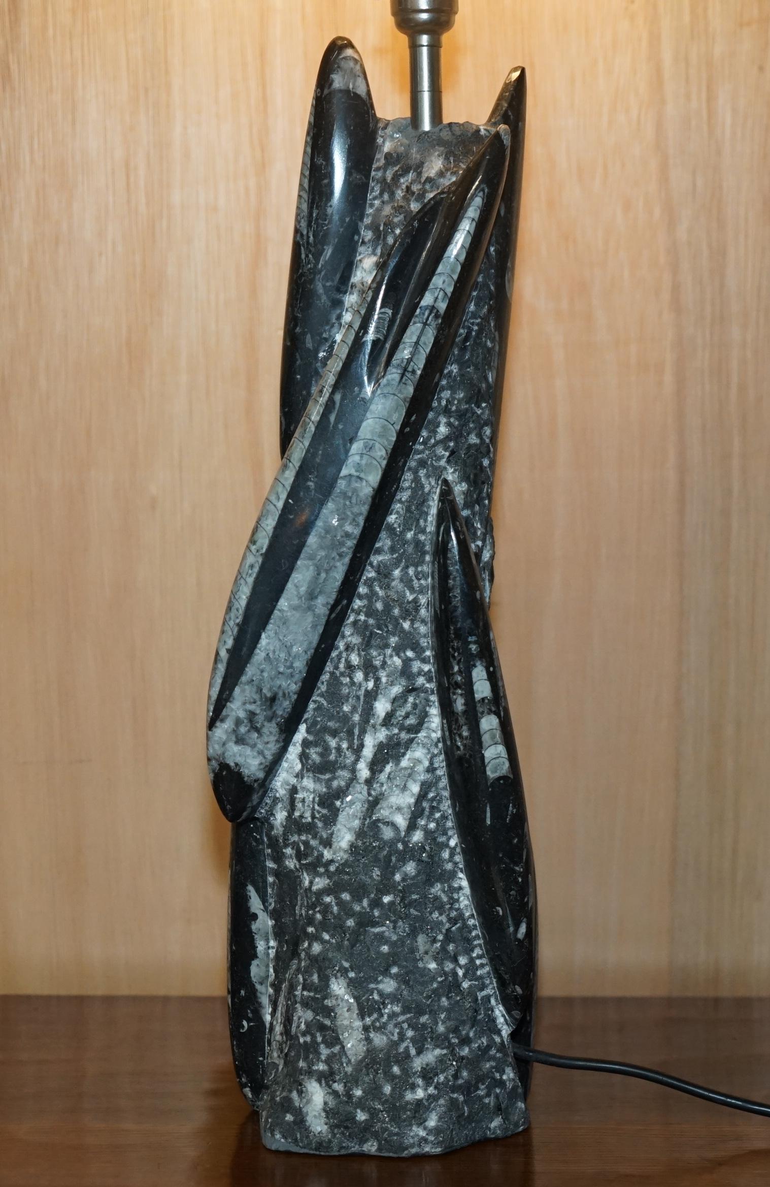RARE & LARGE 395 MILLION YEAR OLD FOSSILIZED ORTHOCERAS MARBLE FiNISH TABLE LAMP in vendita 3