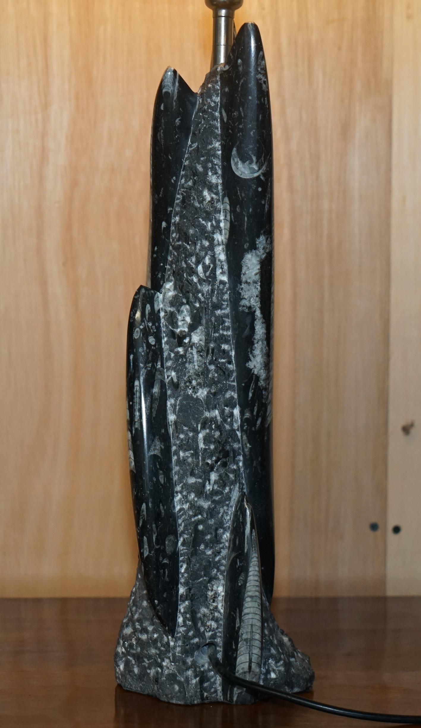 RARE & LARGE 395 MILLION YEAR OLD FOSSILIZED ORTHOCERAS MARBLE FiNISH TABLE LAMP in vendita 6