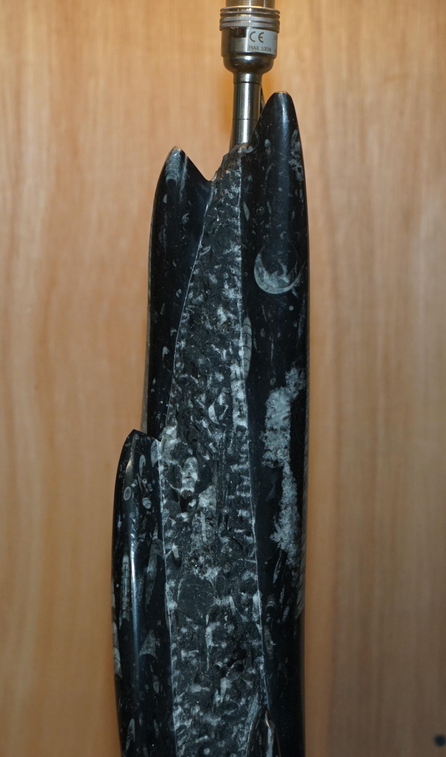 RARE & LARGE 395 MILLION YEAR OLD FOSSILIZED ORTHOCERAS MARBLE FiNISH TABLE LAMP in vendita 7