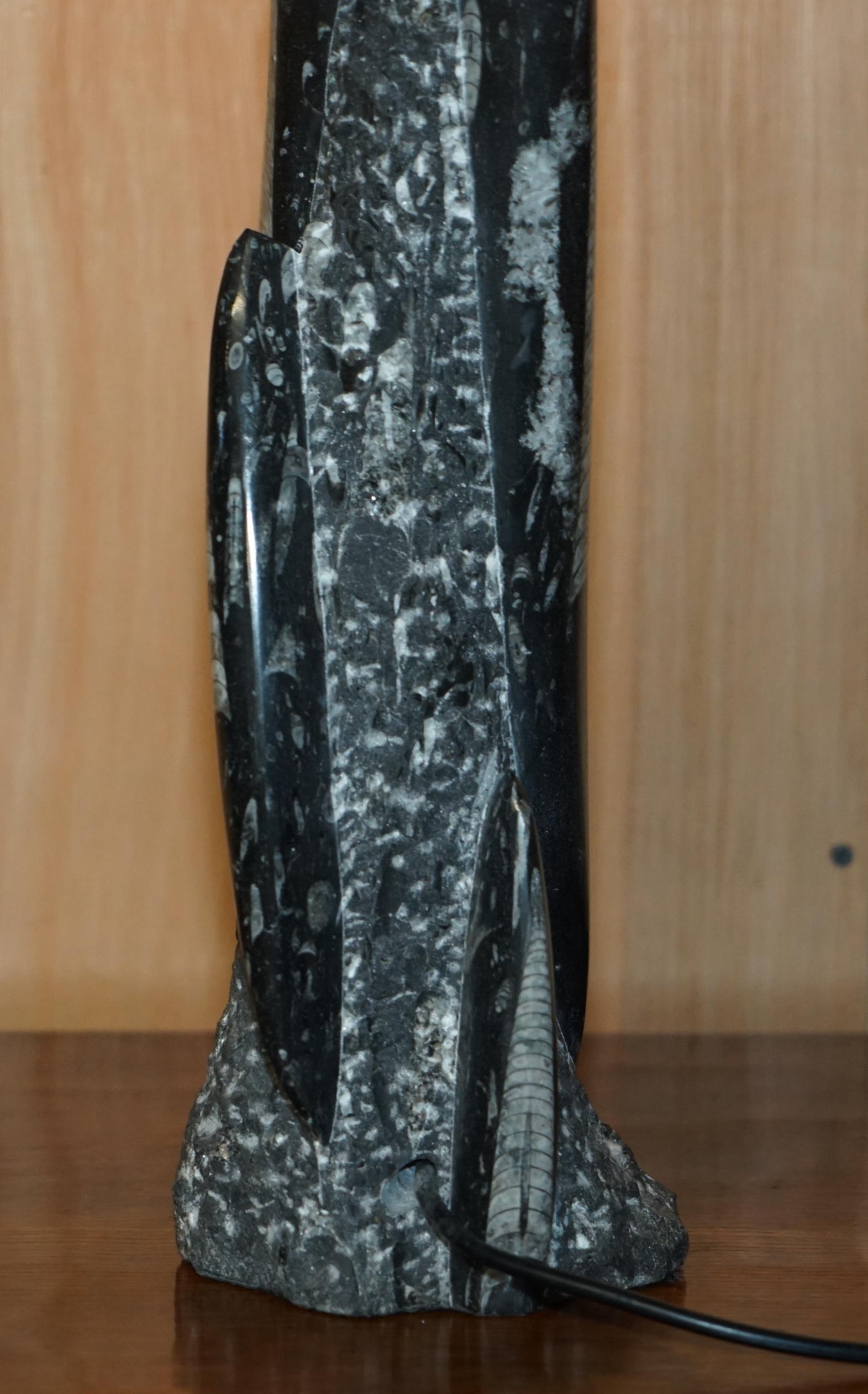 RARE & LARGE 395 MILLION YEAR OLD FOSSILIZED ORTHOCERAS MARBLE FiNISH TABLE LAMP in vendita 8