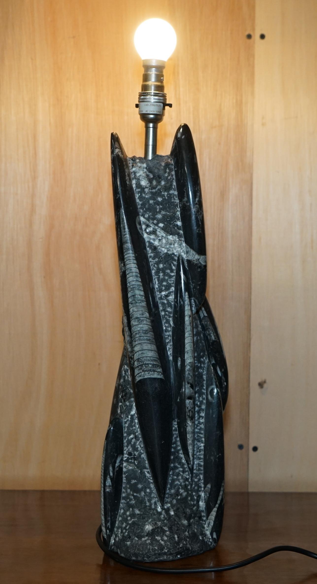 RARE & LARGE 395 MILLION YEAR OLD FOSSILIZED ORTHOCERAS MARBLE FiNISH TABLE LAMP in vendita 9