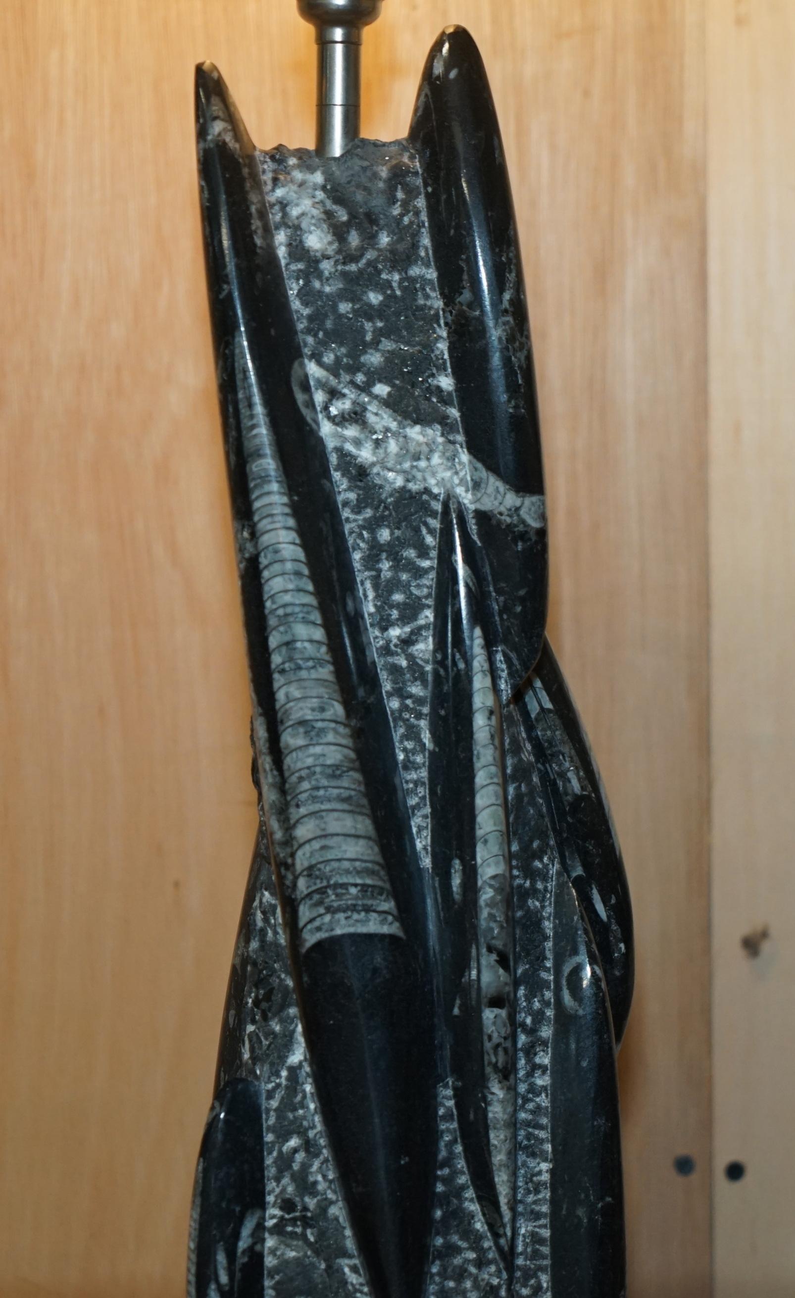 RARE & LARGE 395 MILLION YEAR OLD FOSSILIZED ORTHOCERAS MARBLE FiNISH TABLE LAMP in vendita 10