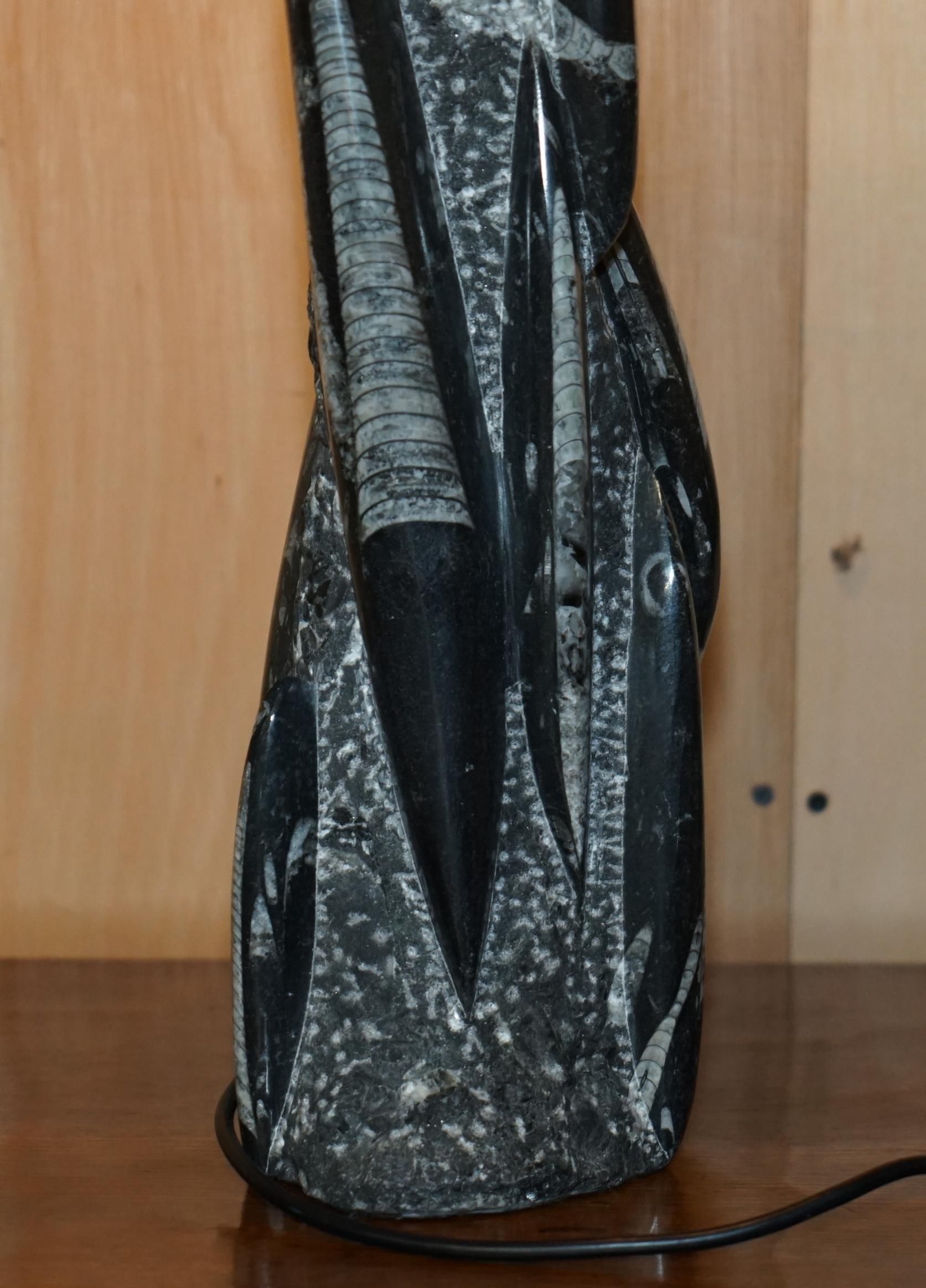RARE & LARGE 395 MILLION YEAR OLD FOSSILIZED ORTHOCERAS MARBLE FiNISH TABLE LAMP in vendita 11