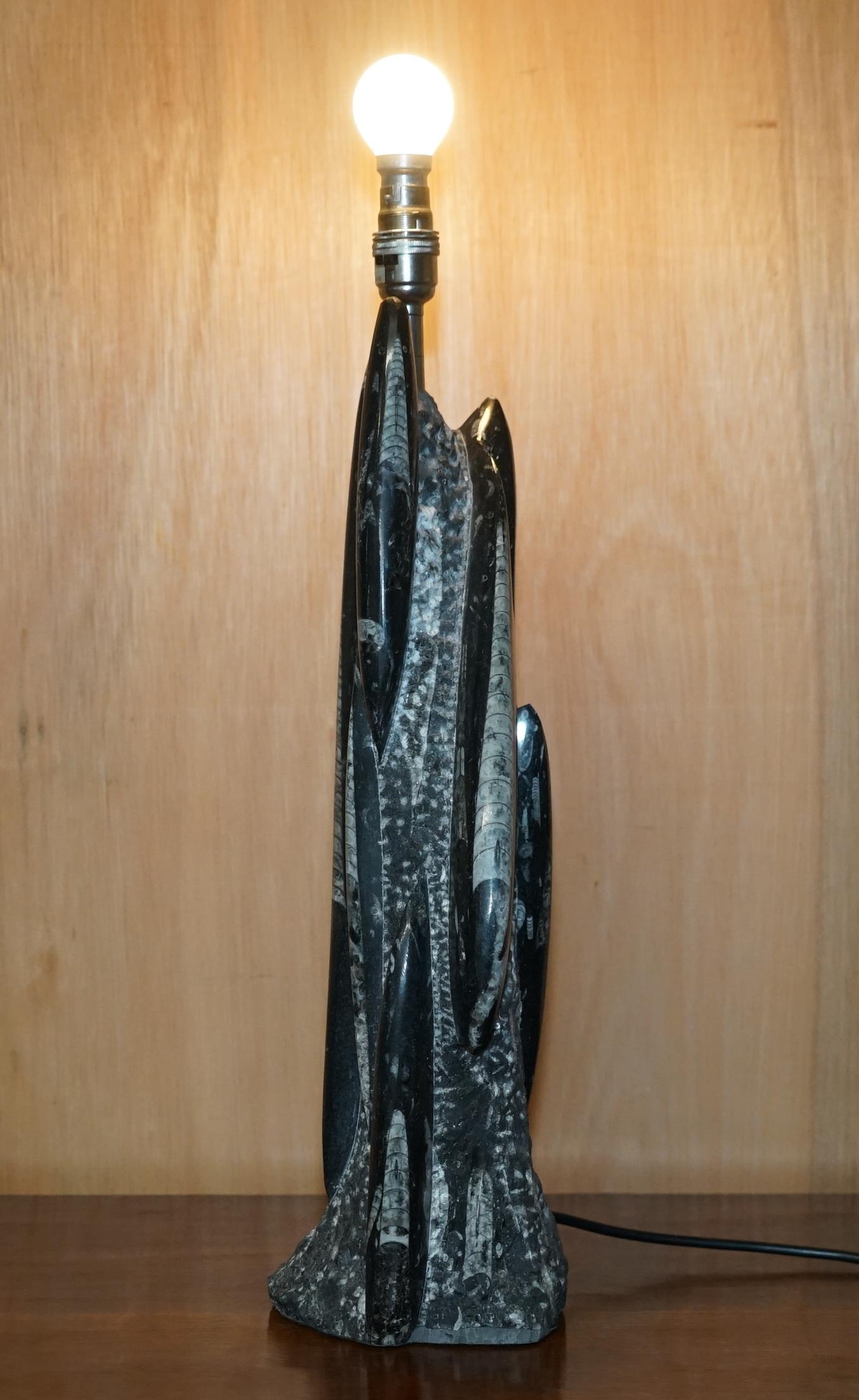 Royal House Antiques

Royal House Antiques is delighted to offer for sale this stunning polished limestone circa 395-million-year-old Fossilized Orthoceras statue converted into a table lamp

Please note the delivery fee listed is just a guide, it