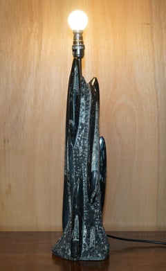 RARE & LARGE 395 MILLION YEAR OLD FOSSILIZED ORTHOCERAS MARBLE FiNISH TABLE LAMP