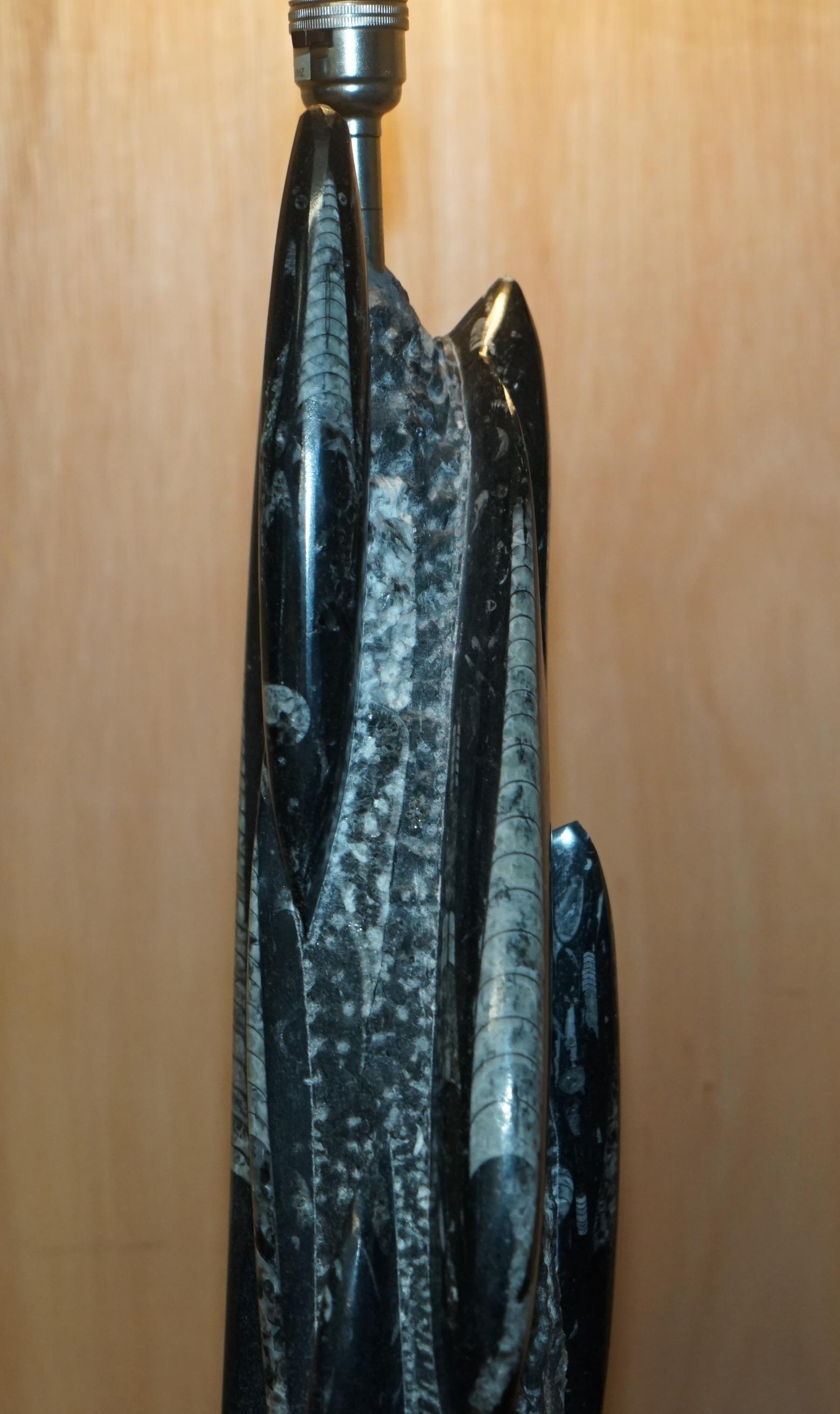 Altro RARE & LARGE 395 MILLION YEAR OLD FOSSILIZED ORTHOCERAS MARBLE FiNISH TABLE LAMP in vendita