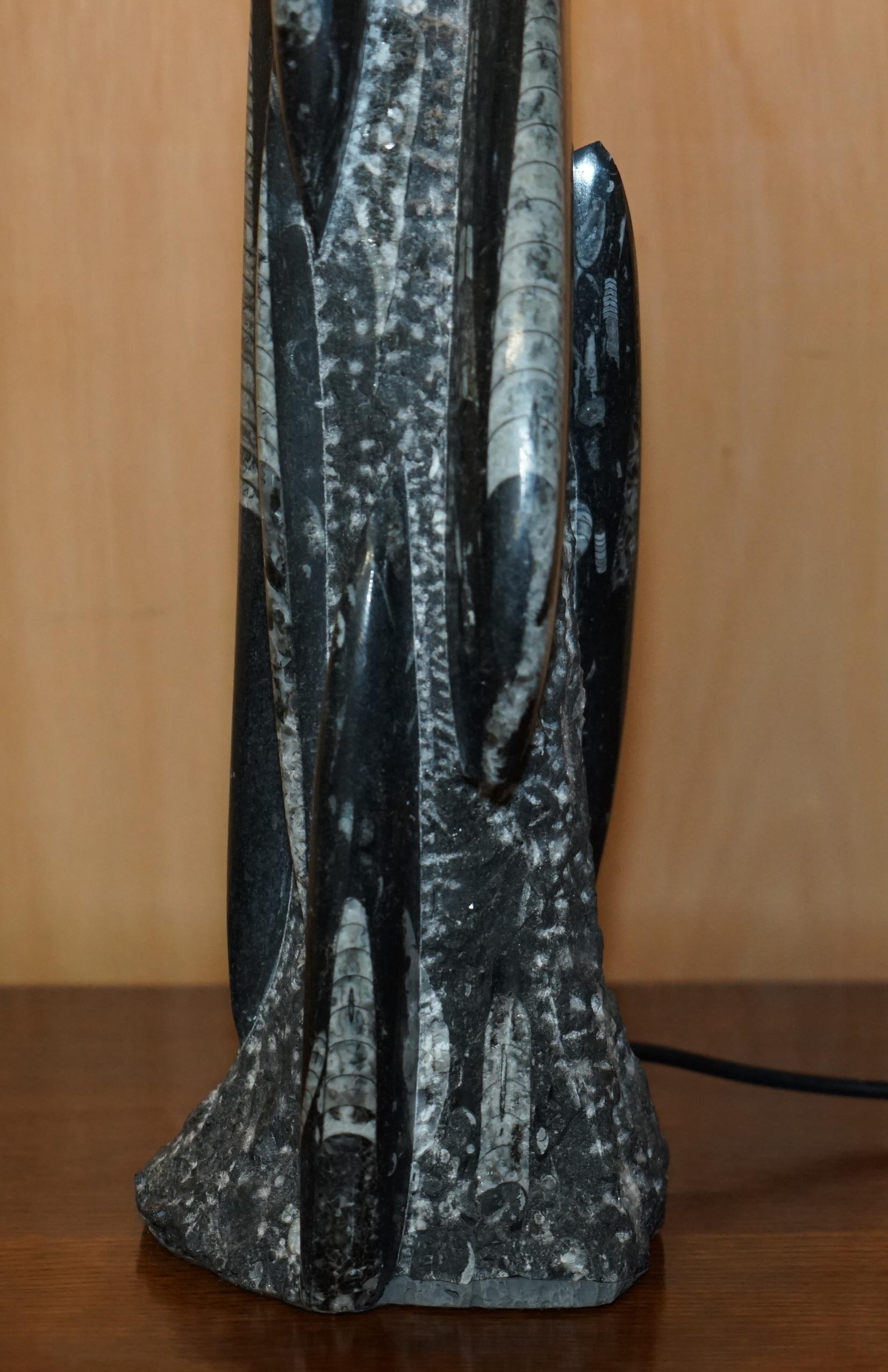 Fatto a mano RARE & LARGE 395 MILLION YEAR OLD FOSSILIZED ORTHOCERAS MARBLE FiNISH TABLE LAMP in vendita