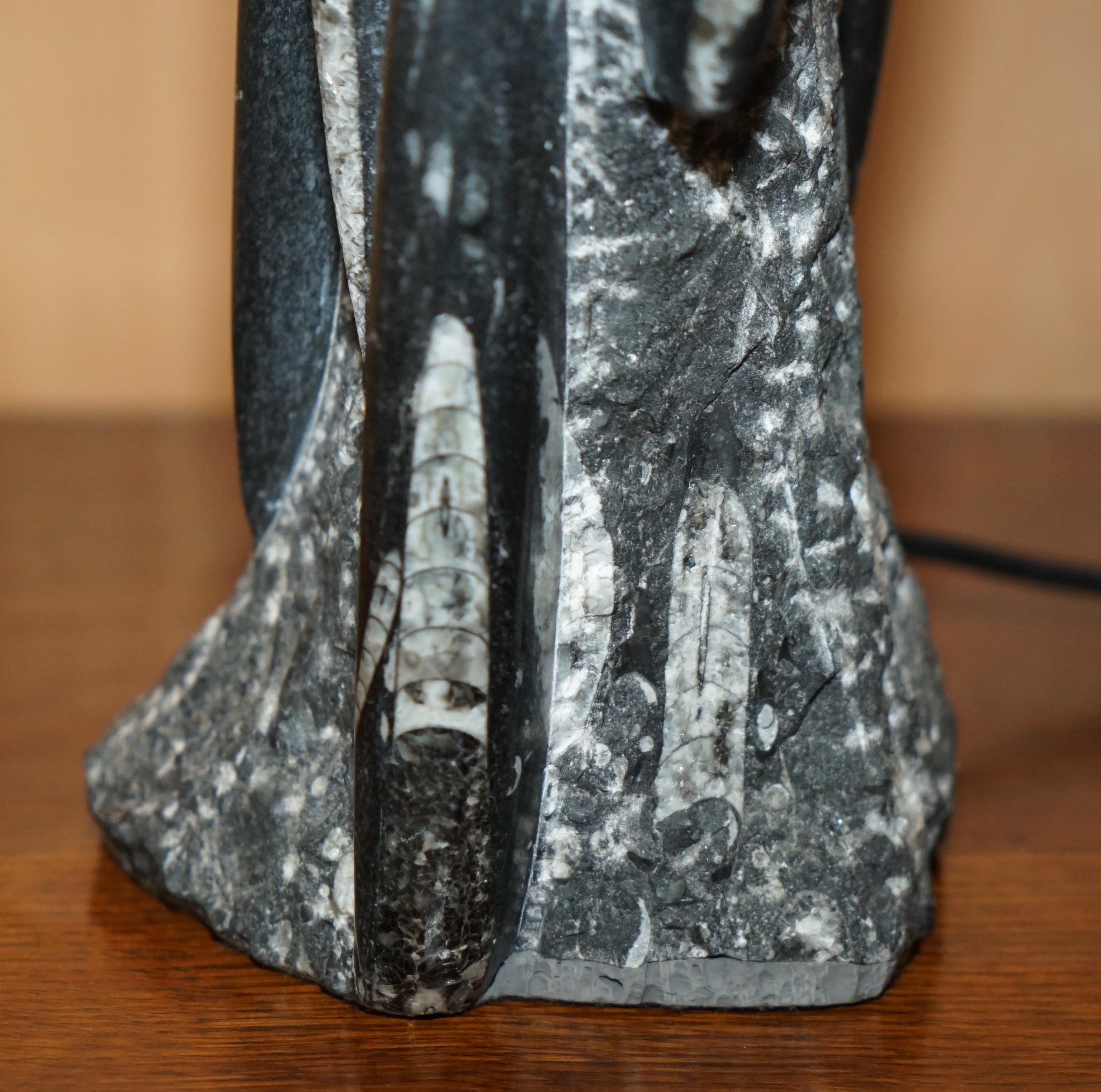 RARE & LARGE 395 MILLION YEAR OLD FOSSILIZED ORTHOCERAS MARBLE FiNISH TABLE LAMP In condizioni buone in vendita a West Sussex, Pulborough