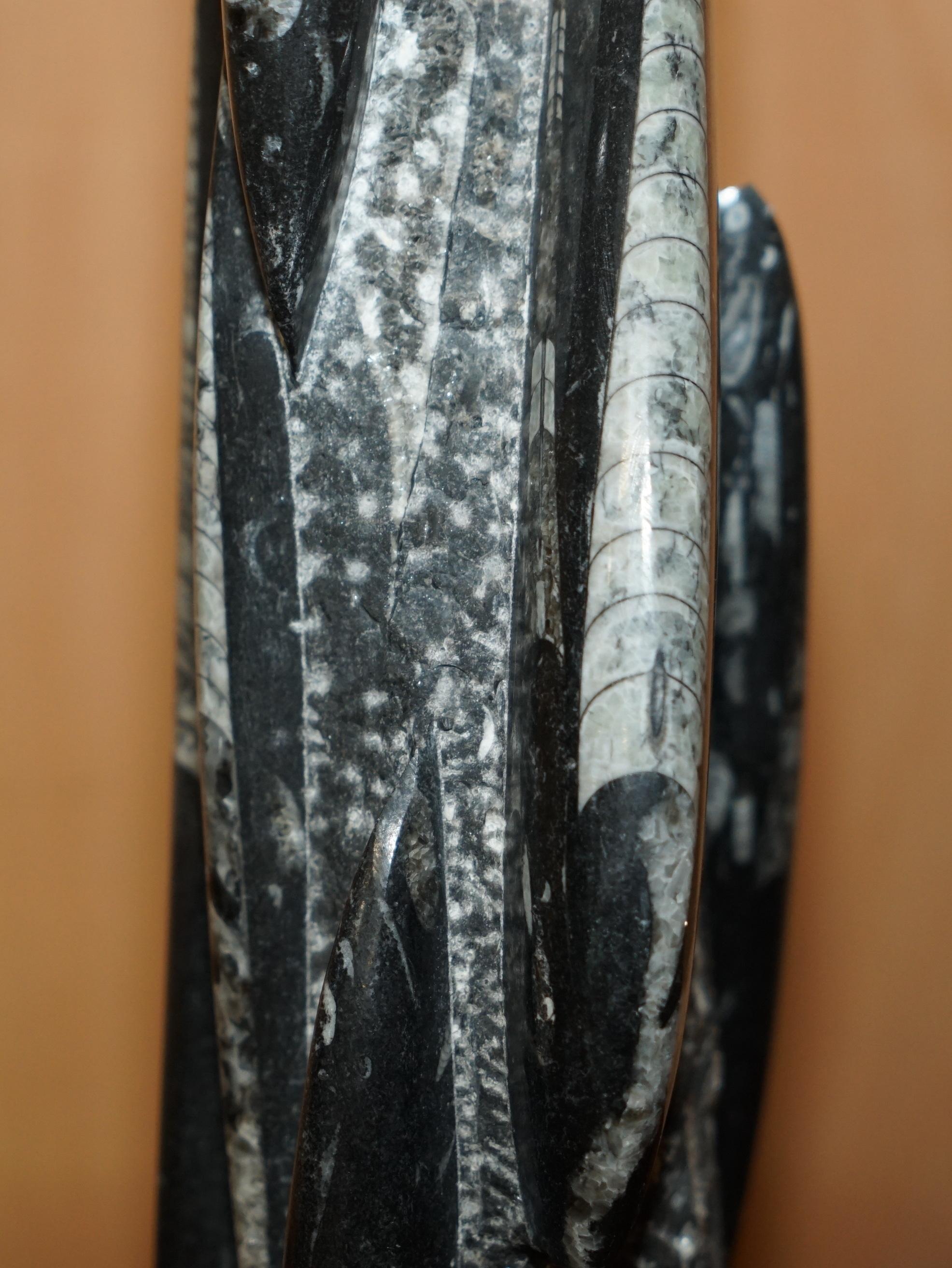 Fino al XVIII secolo RARE & LARGE 395 MILLION YEAR OLD FOSSILIZED ORTHOCERAS MARBLE FiNISH TABLE LAMP in vendita