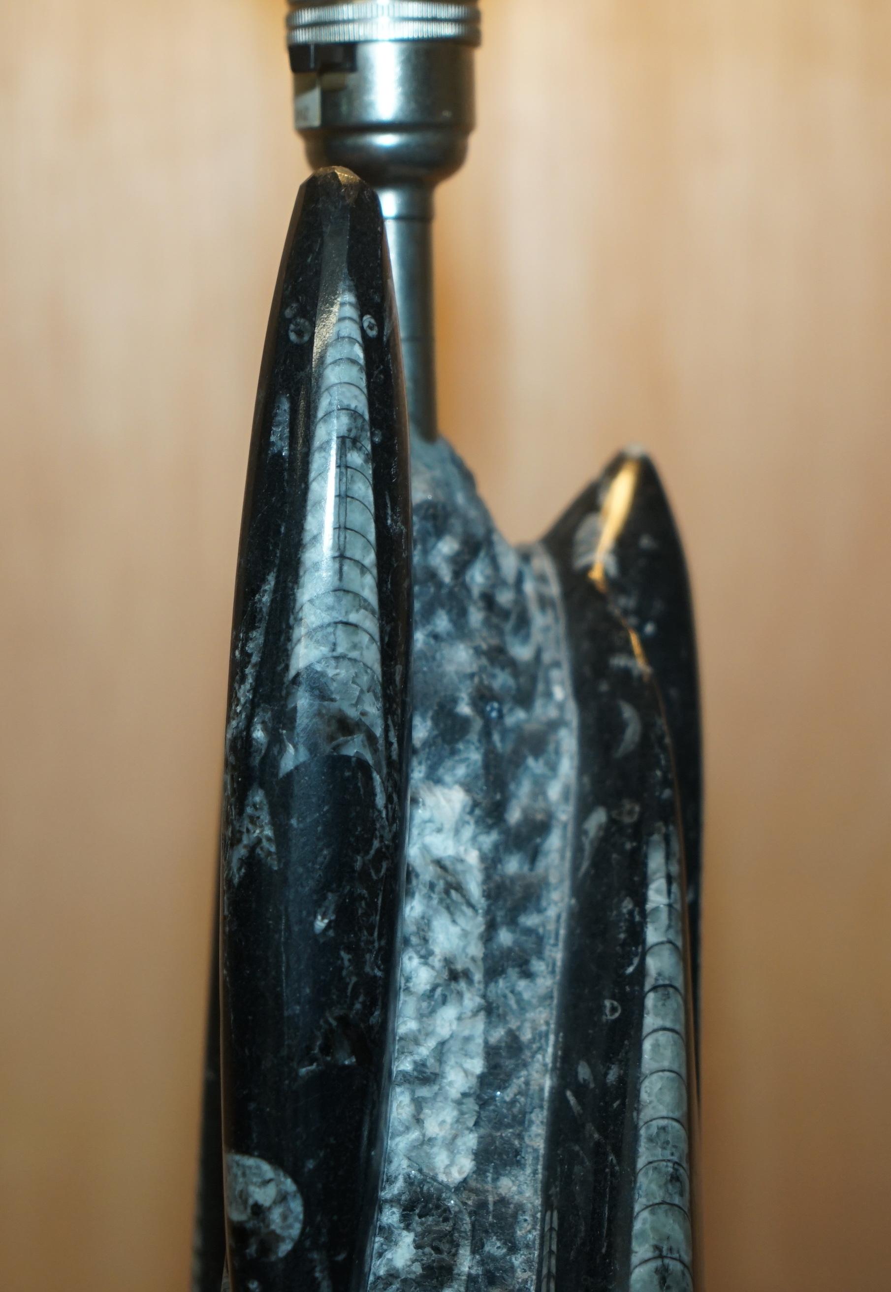 Altro RARE & LARGE 395 MILLION YEAR OLD FOSSILIZED ORTHOCERAS MARBLE FiNISH TABLE LAMP in vendita