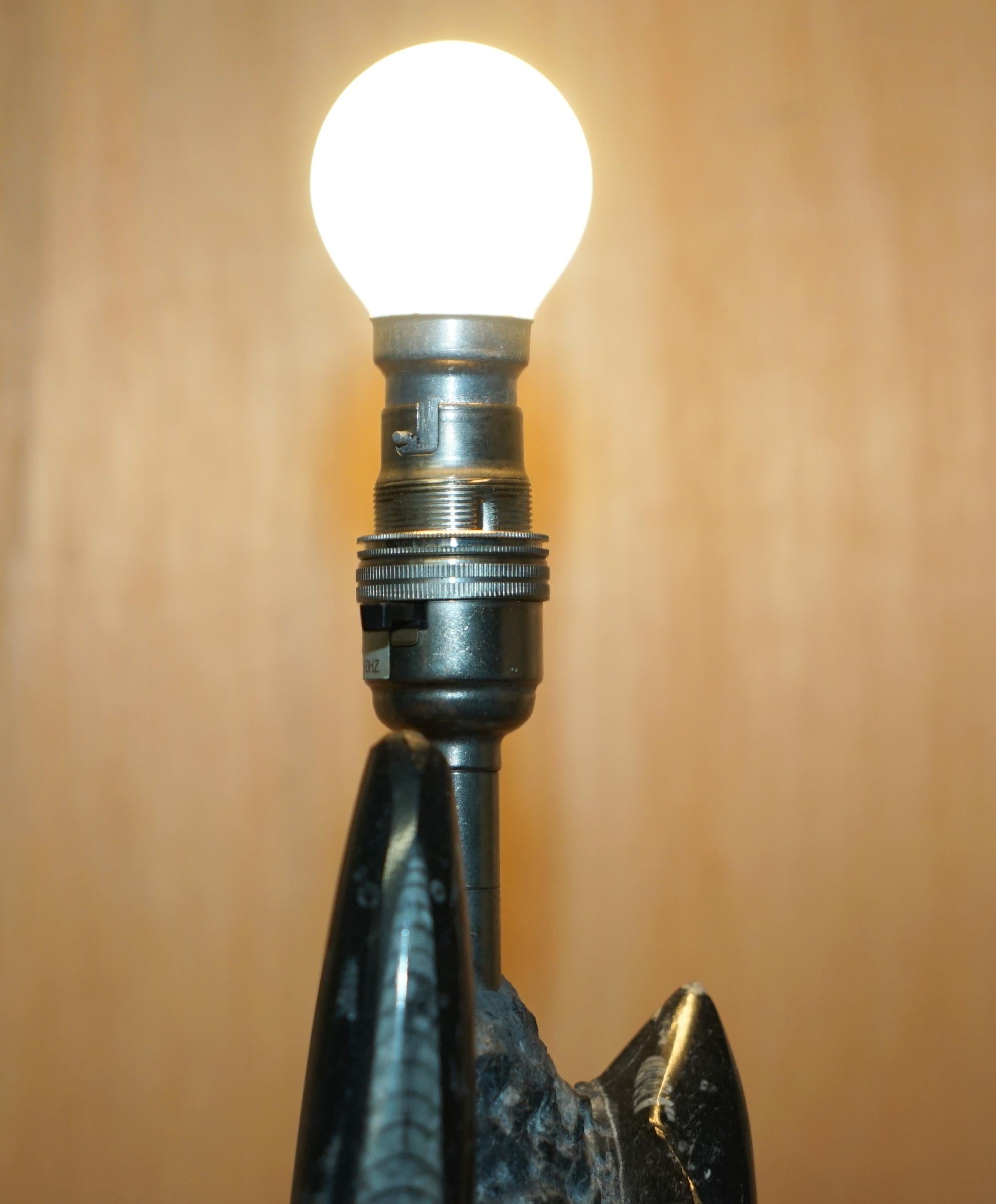 RARE & LARGE 395 MILLION YEAR OLD FOSSILIZED ORTHOCERAS MARBLE FiNISH TABLE LAMP in vendita 1