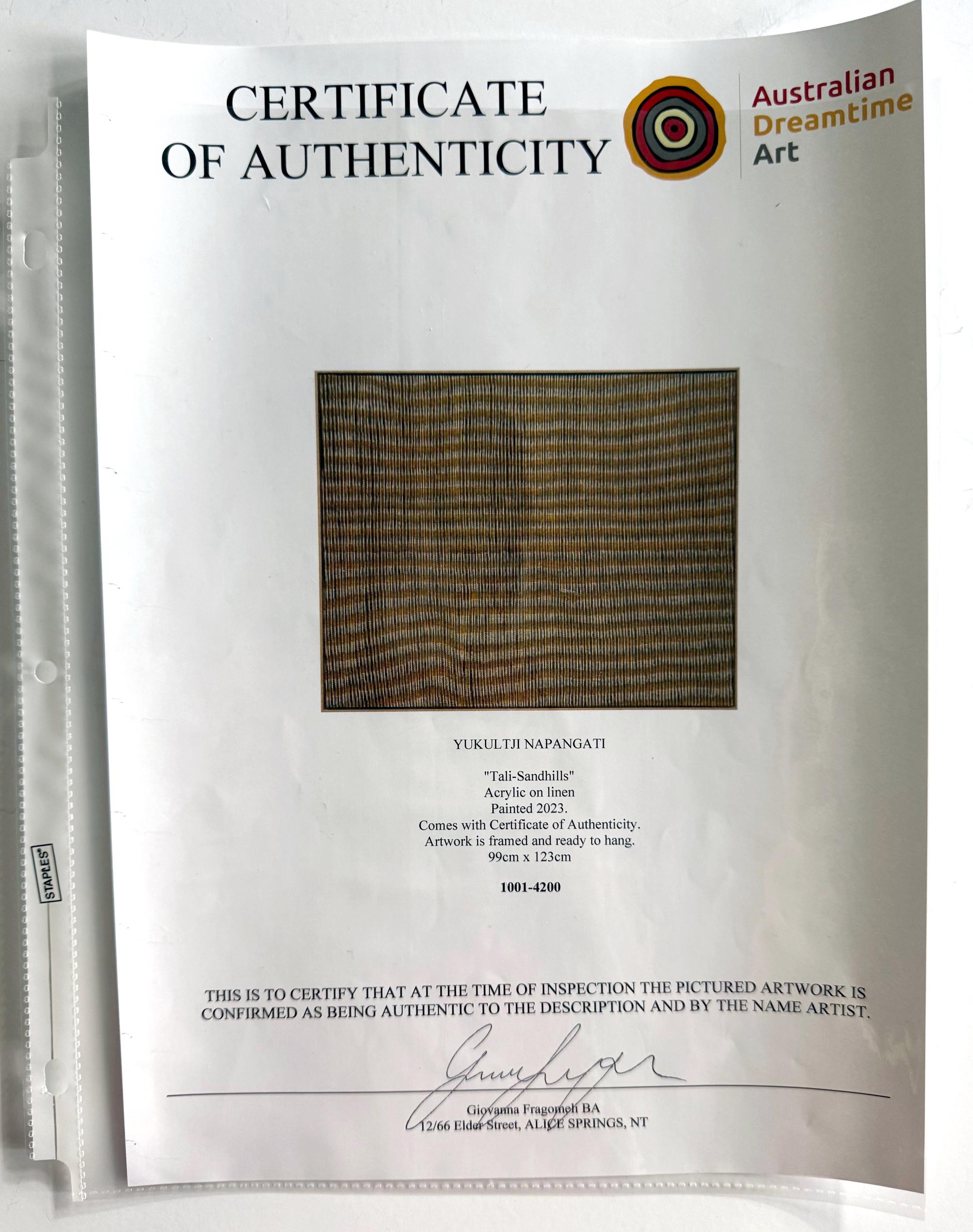 Large Abstract Dreamtime Aboriginal Painting by Yukultji Napangati For Sale 3
