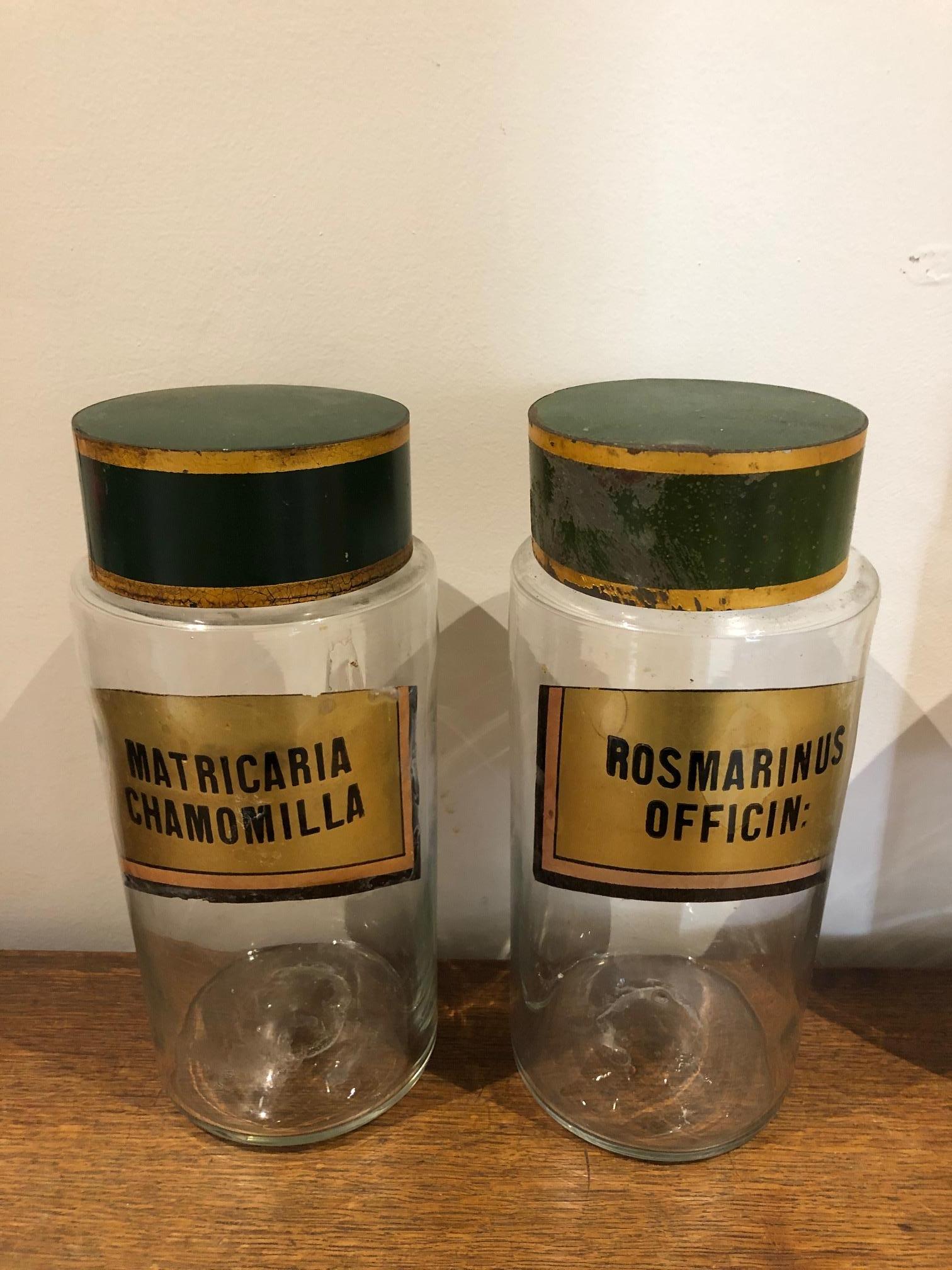 19th Century Rare Large Apothecary Jars Napoleon III
