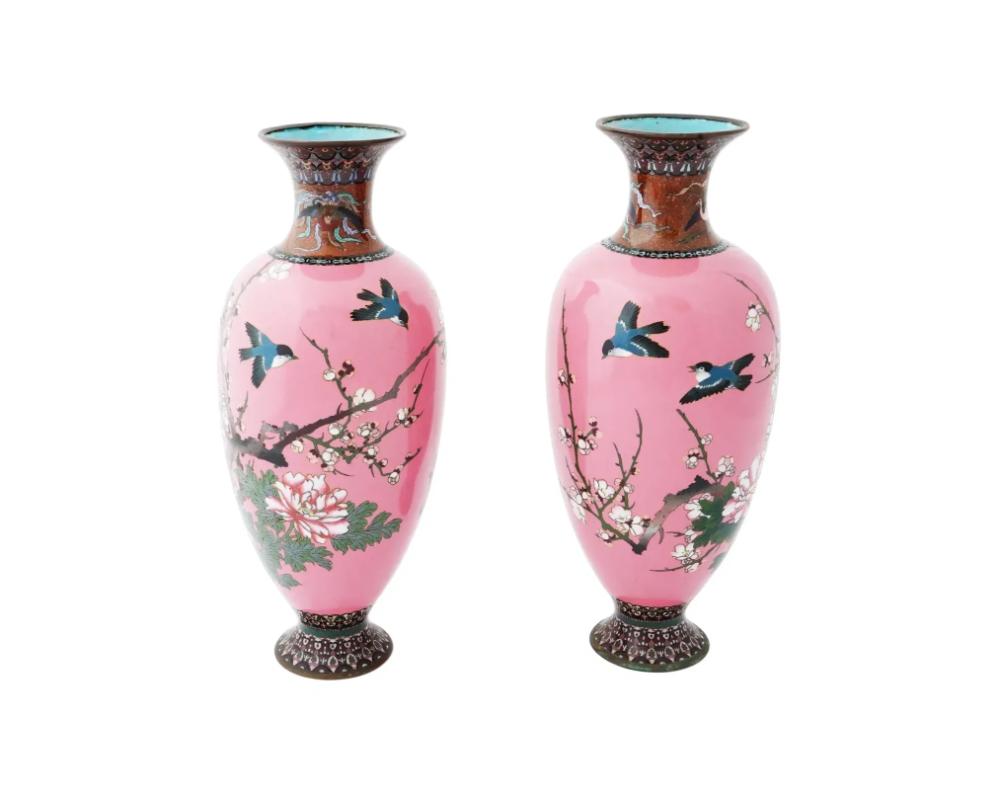 Pareja de grandes jarrones antiguos japoneses, de la era Meiji, con decoración de esmalte cloisonné rosa. Con forma de balaustre alargado y cuello corto. El exterior muestra una elegante composición con flores, un sakura y dos pájaros sobre fondo