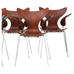 Rare large set of " Lily chairs " in teak by Arne Jacobsen
