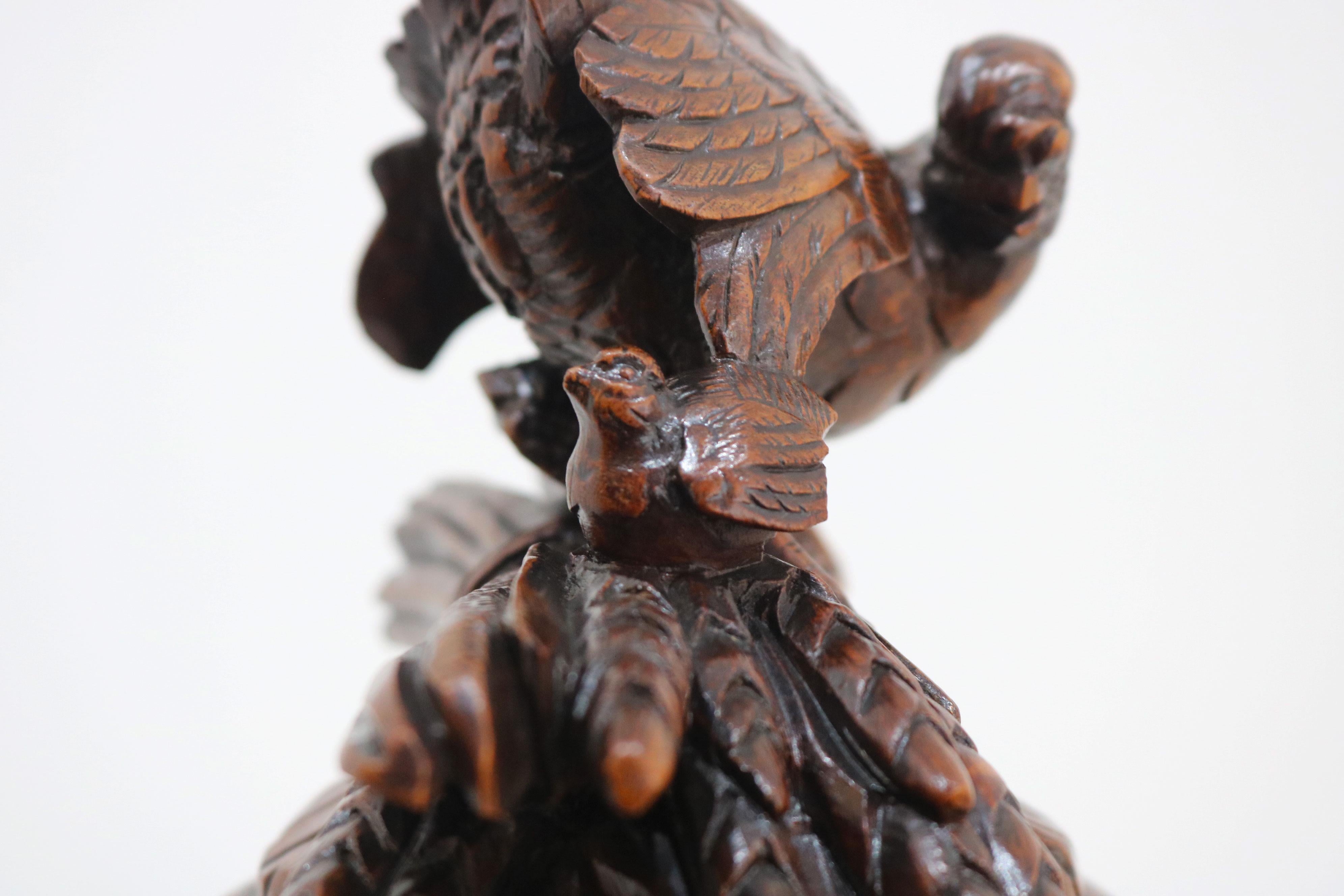 Rare large Swiss Black Forest Tobacco box with Chickens 19th century Humidor en vente 1