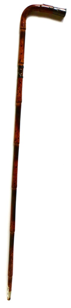 Rare Late 19th C Art Nouveau Bamboo Walking Stick American Circa 1895