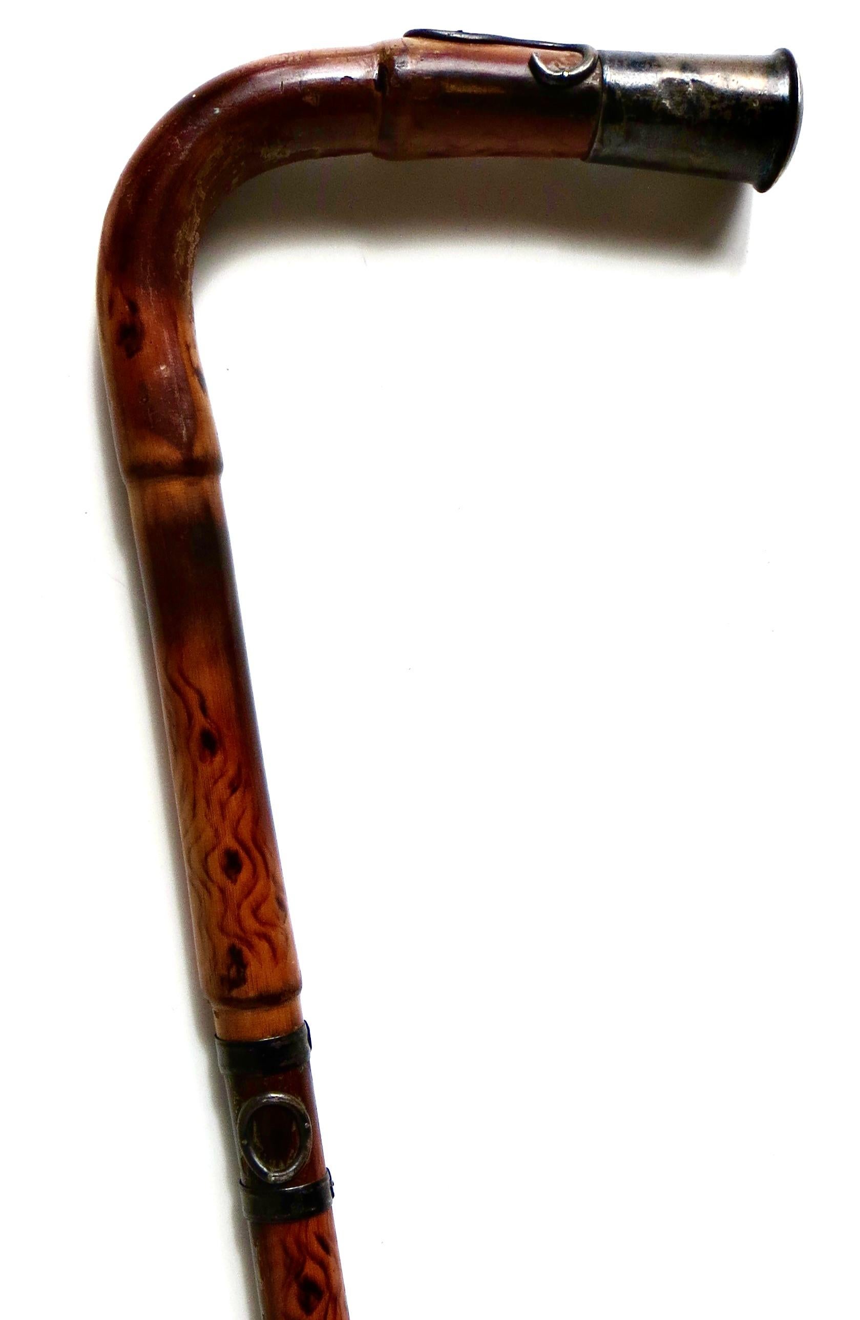 Raro bastón de bambú Art Nouveau americano de finales del siglo XIX Circa 1895 Tallado a mano en venta