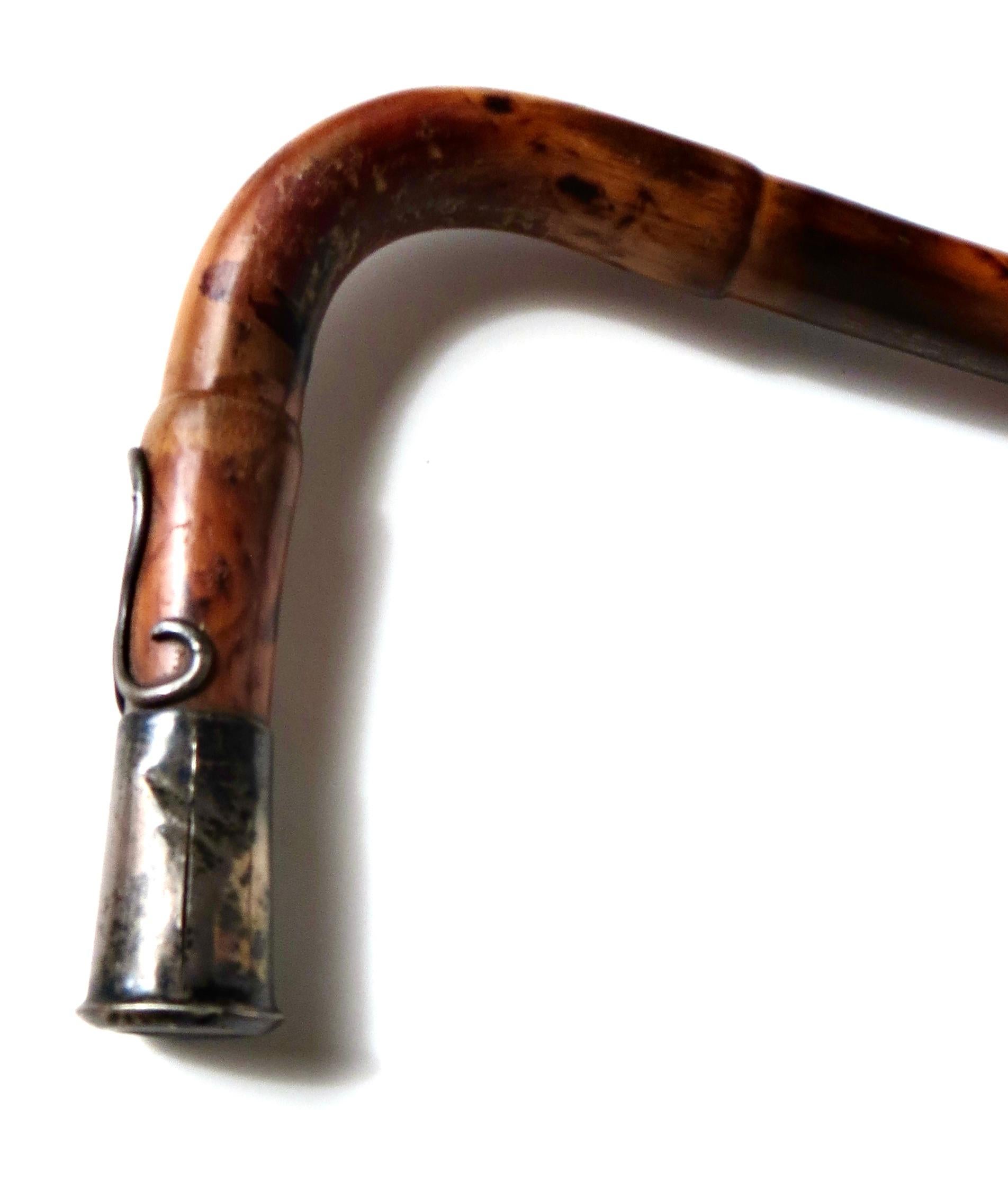 Raro bastón de bambú Art Nouveau americano de finales del siglo XIX Circa 1895 Fines del siglo XIX en venta