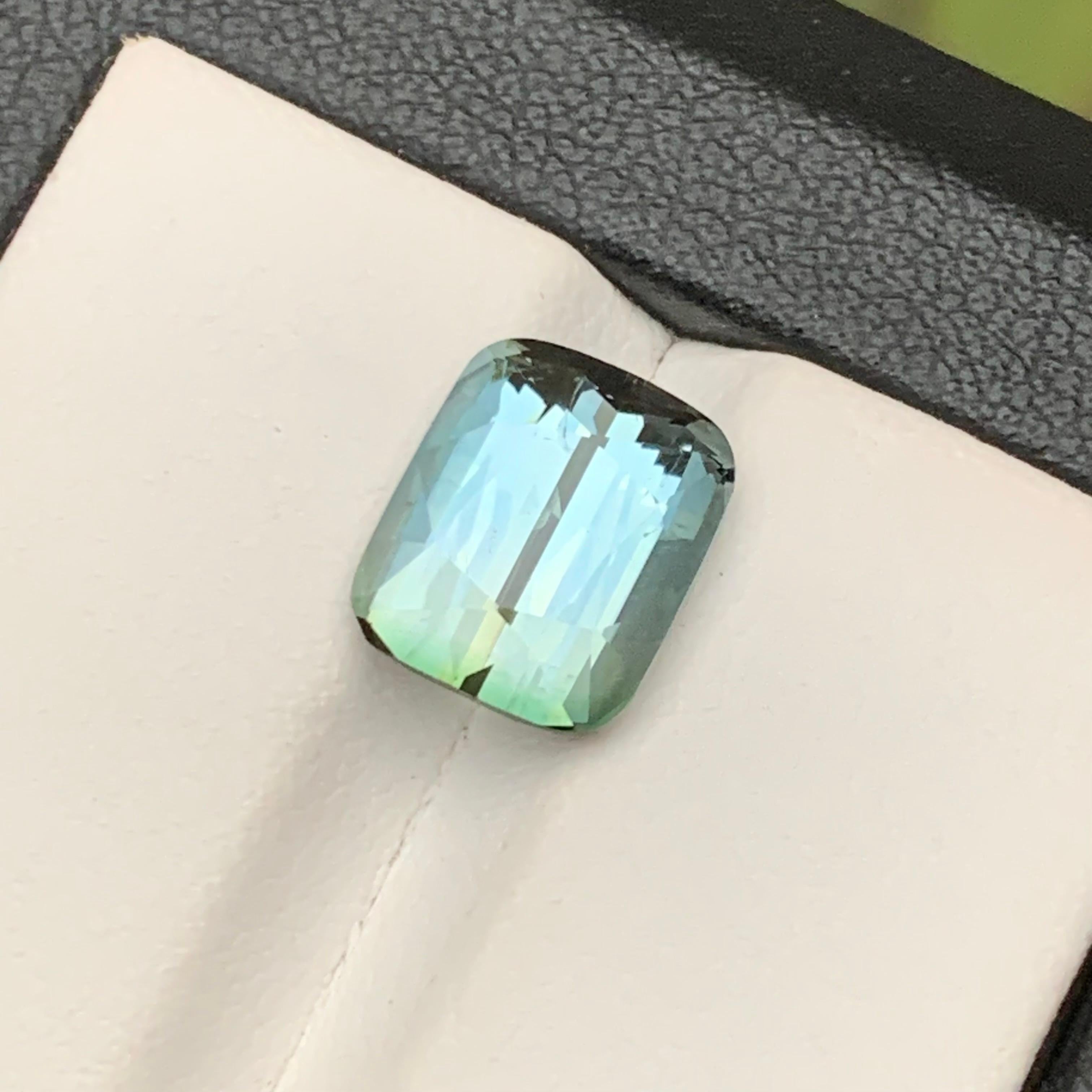 Gemma sfusa di tormalina naturale bicolore grigio ardesia per anello, collana, ciondolo o qualsiasi altro gioiello, taglio a cuscino!

💎 TIPO DI GEMMA: Tormalina
⚖️ PESO: 4,45  Carati
🪚 FORMA E TAGLIO: Taglio a cuscino
📏 DIMENSIONE (MM): 10,28 x