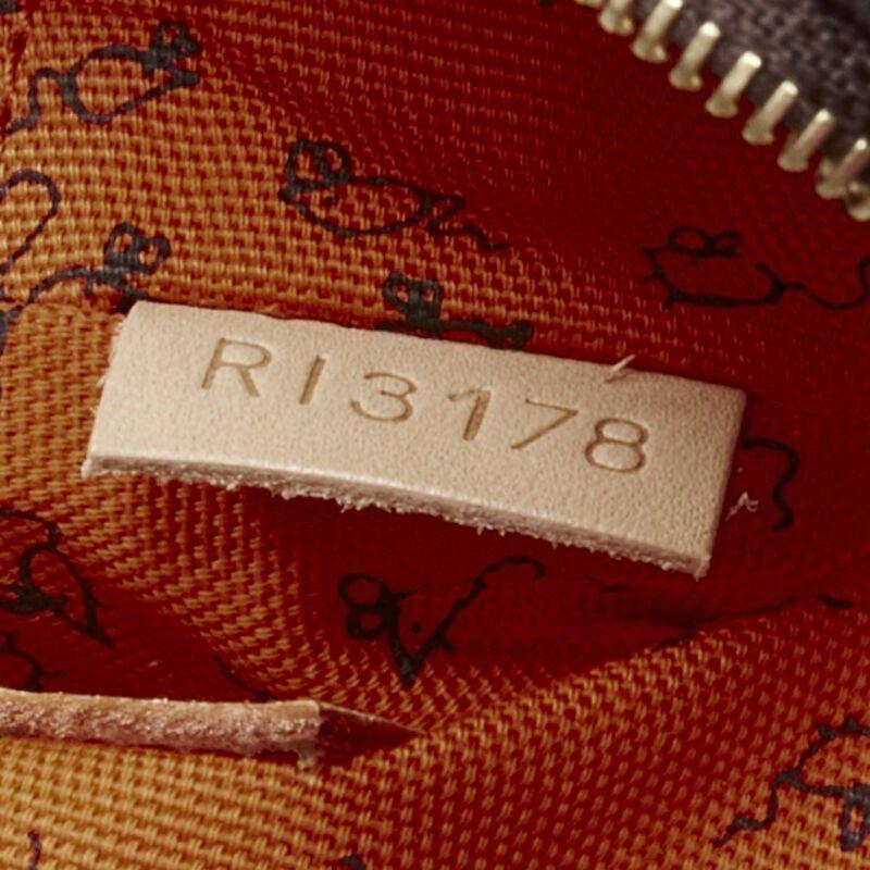 rare LOUIS VUITTON 2018 Runway Catogram Paname PM monogram crossbody camera bag For Sale 6