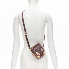 rare LOUIS VUITTON 2018 Runway Catogram Paname PM monogram crossbody camera bag