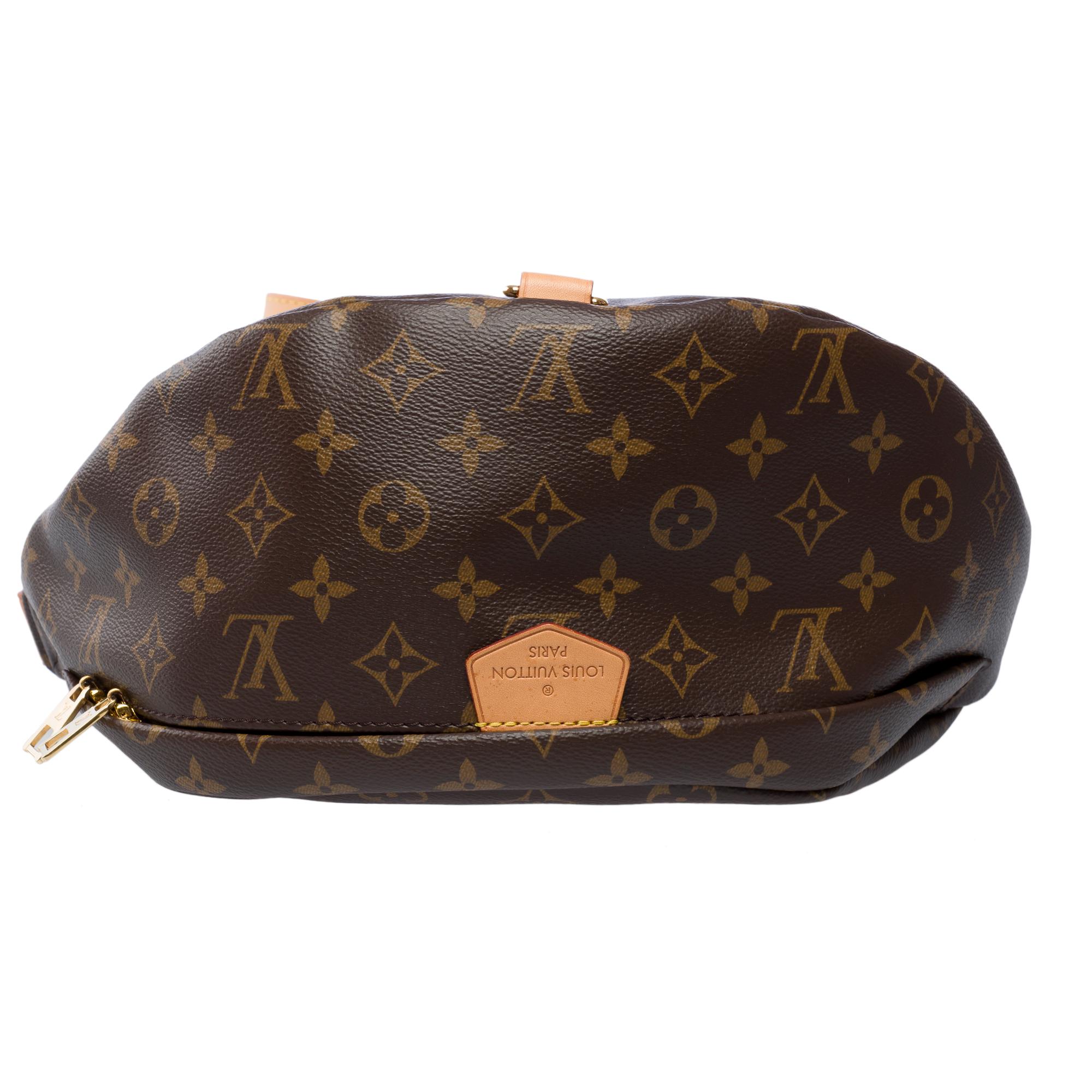 Rare Louis Vuitton Bumbag shoulder/belt bag in brown monogram canvas, GHW For Sale 5