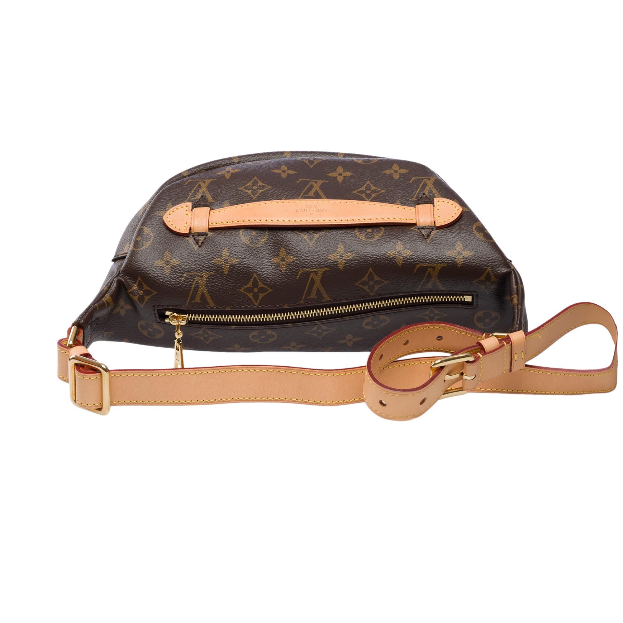 Rare Louis Vuitton Bumbag shoulder/belt bag in brown monogram canvas, GHW In Excellent Condition For Sale In Paris, IDF