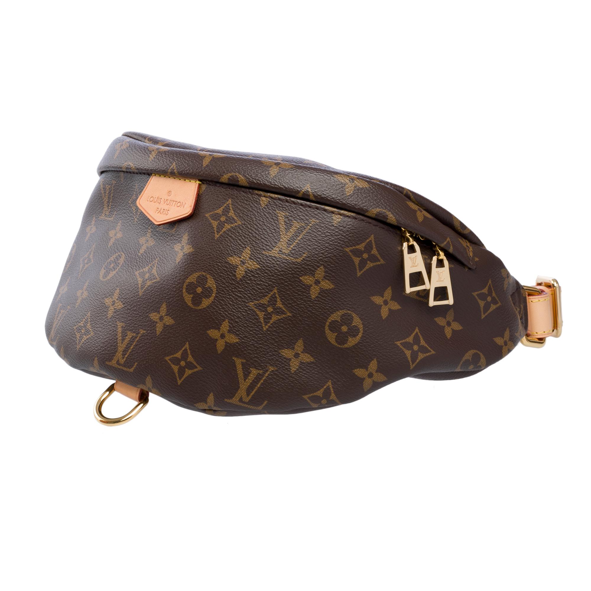 Women's Rare Louis Vuitton Bumbag shoulder/belt bag in brown monogram canvas, GHW For Sale