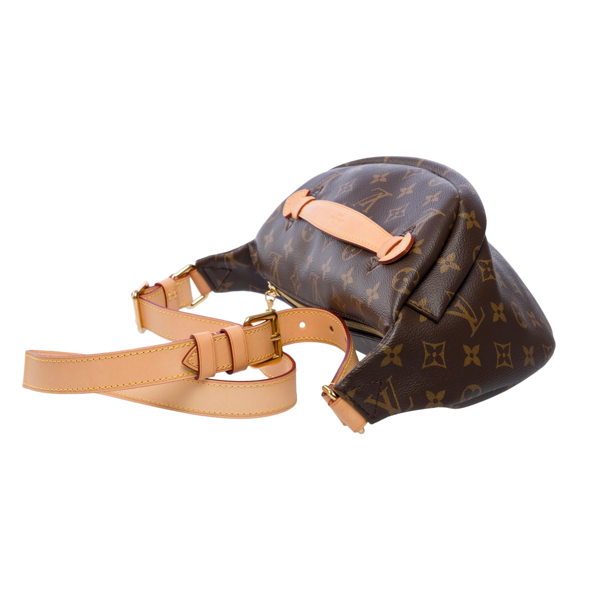 Rare Louis Vuitton Bumbag shoulder/belt bag in brown monogram canvas, GHW For Sale 1