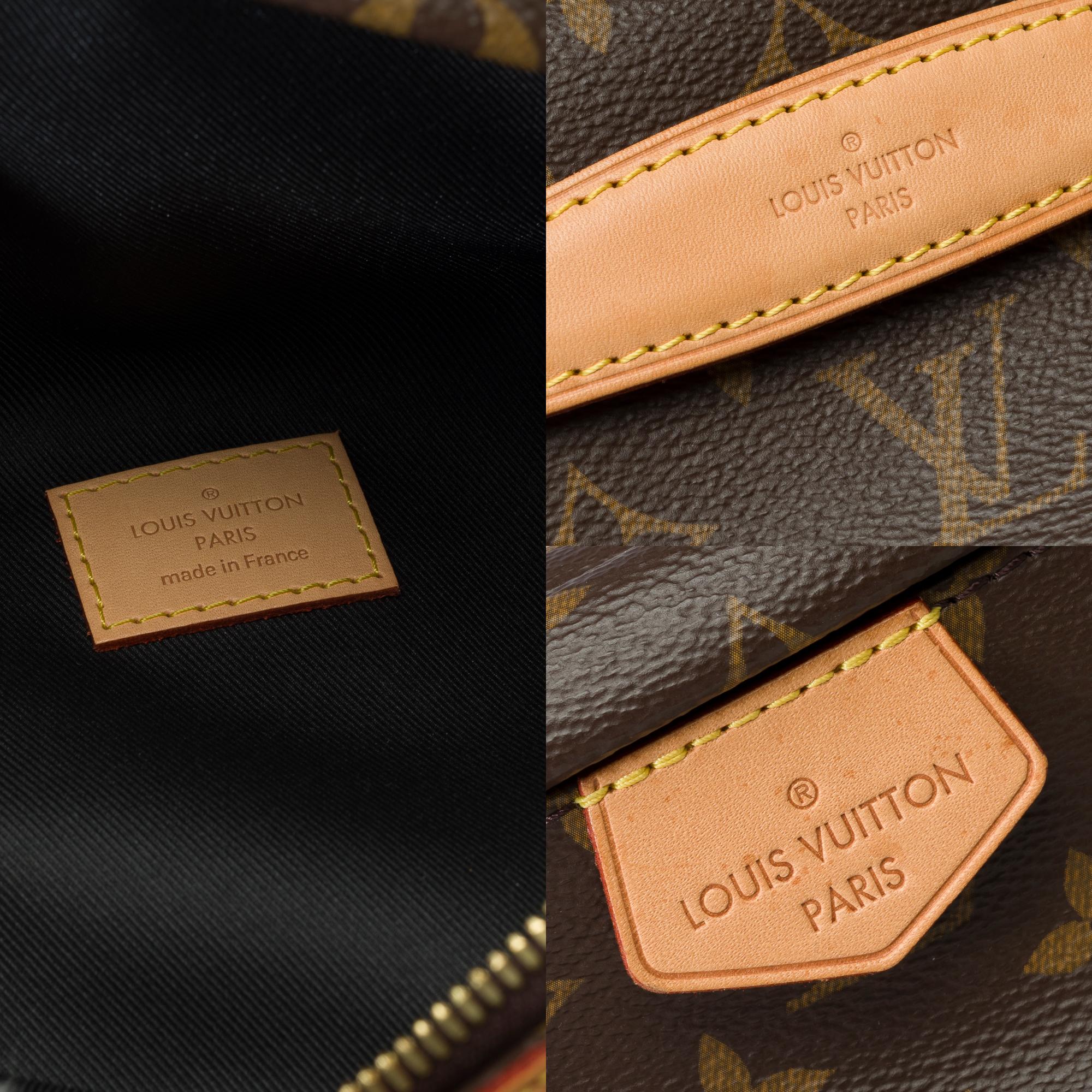 Rare Louis Vuitton Bumbag shoulder/belt bag in brown monogram canvas, GHW For Sale 2