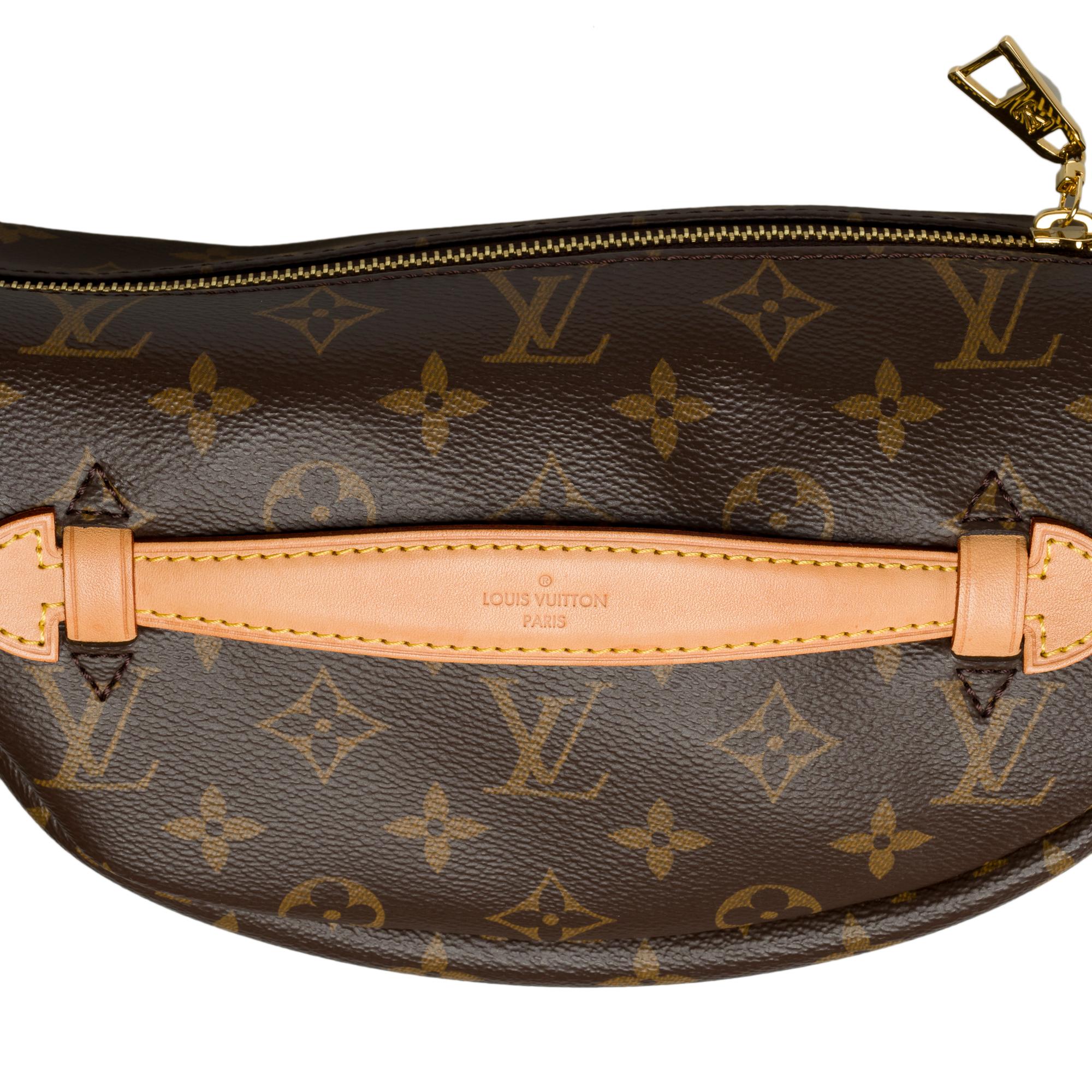 Rare Louis Vuitton Bumbag shoulder/belt bag in brown monogram canvas, GHW For Sale 4