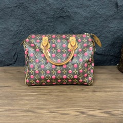 RARA Louis Vuitton x Takashi Murakami Speedy 25 vintage color ciliegia su Monogram